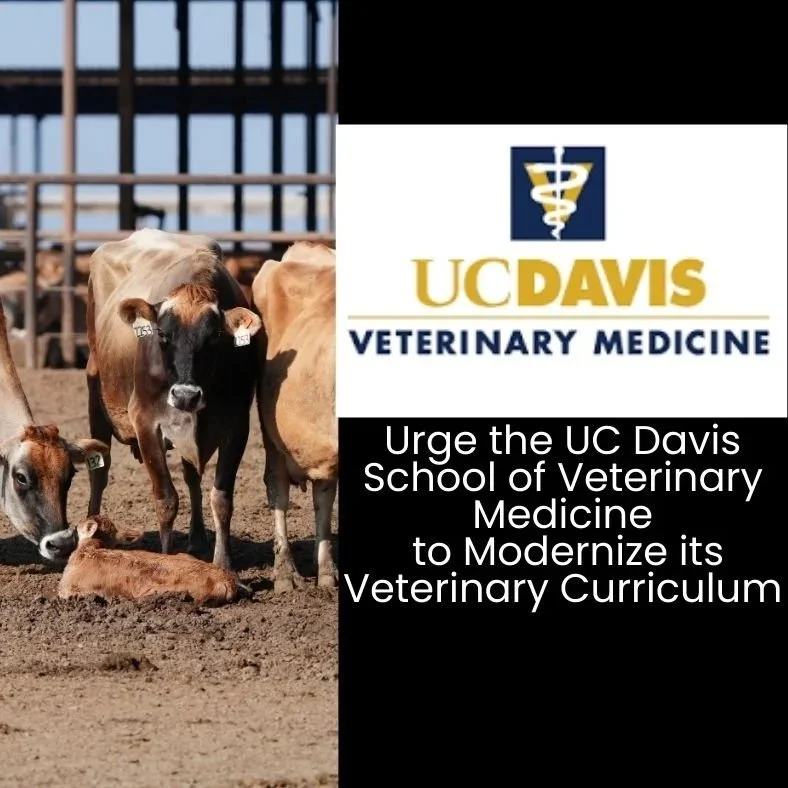 Urge University of California, Davis to prioritize teaching practices to align with those recommended by the AAVMC