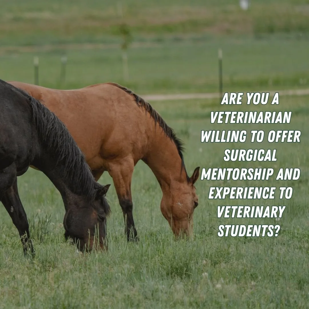 Are you a veterinarian willing to offer surgical experience and mentorship to veterinary students?
