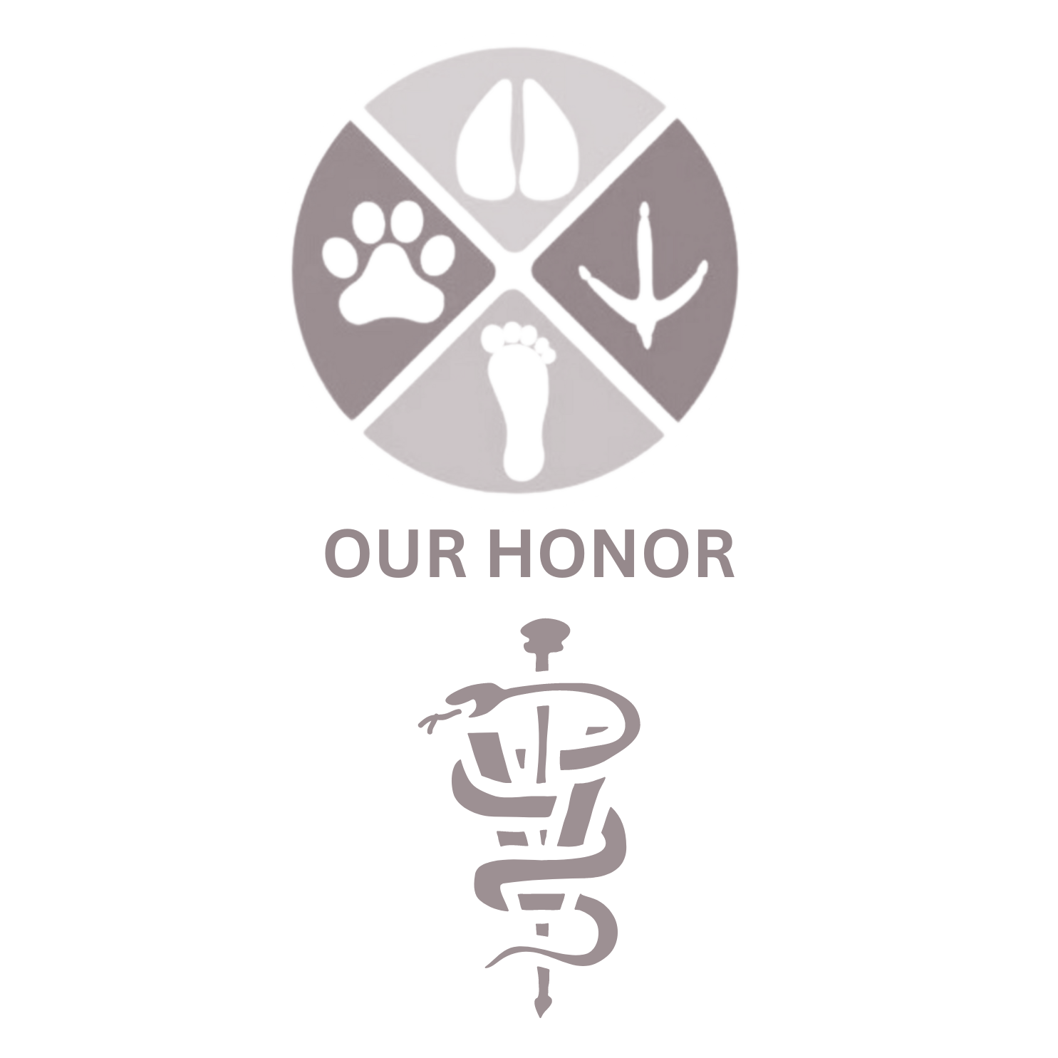 Our Honor Scholarship — Our Honor