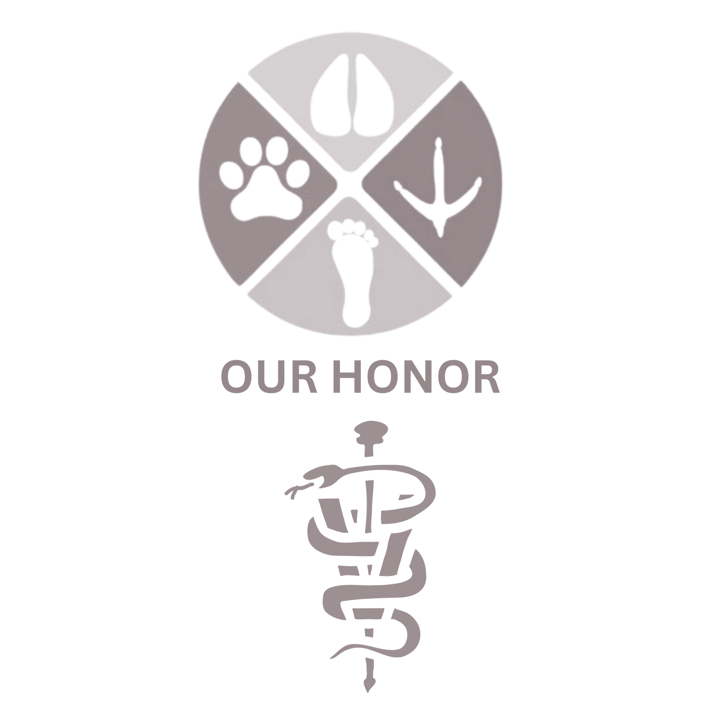Our Honor Scholarship — Our Honor