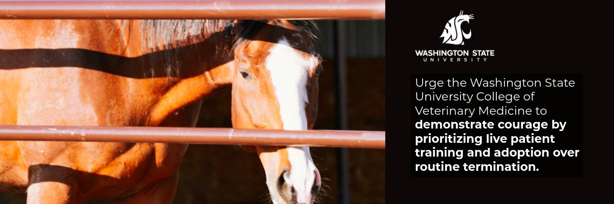 Urge Washington State to Prioritize to prioritize teaching practices to align with those recommended by the AAVMC