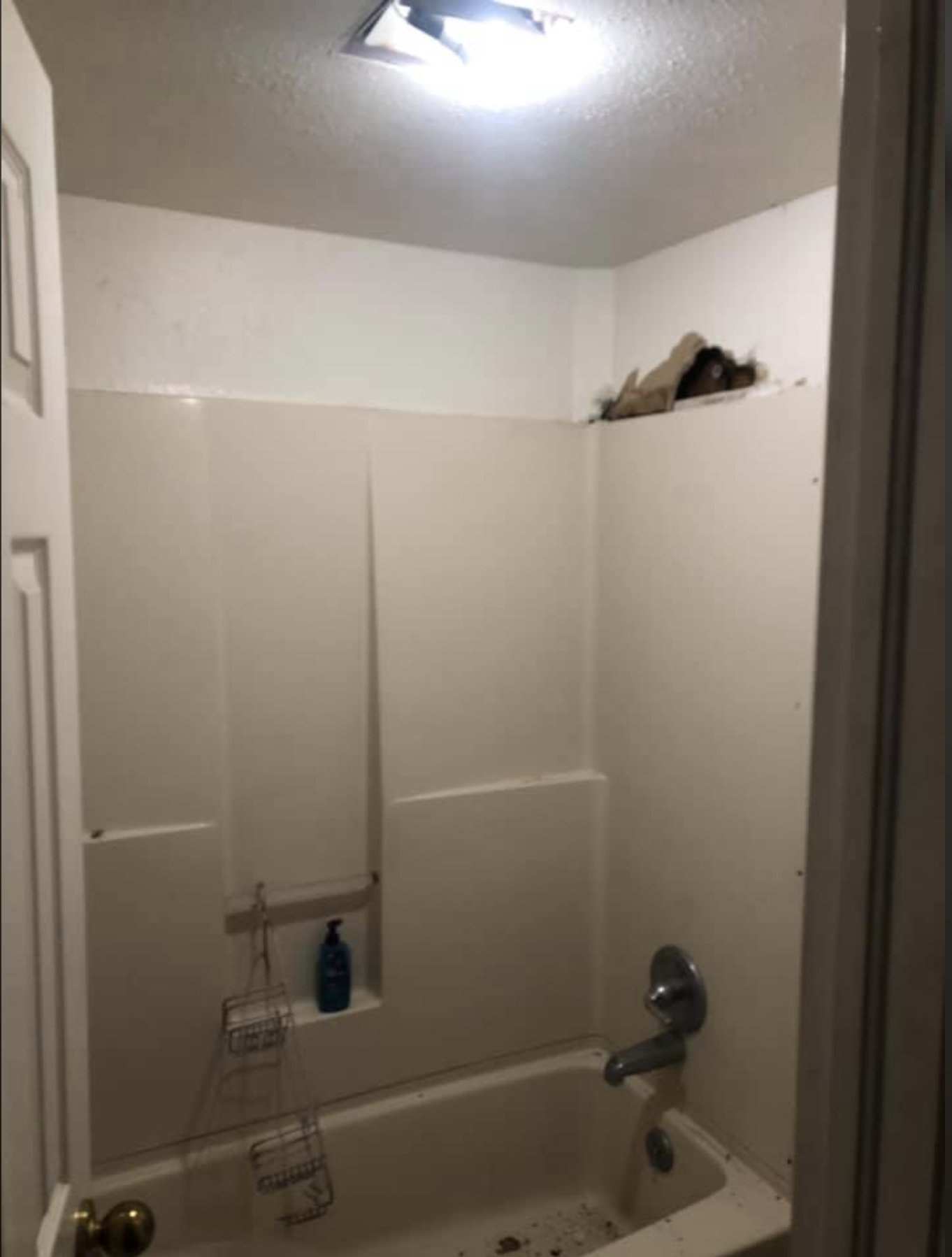 Screen Shot 2020-08-26 at 10.30.23 PM.png