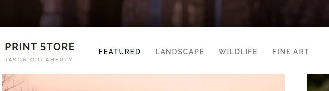 print_store_categories.png