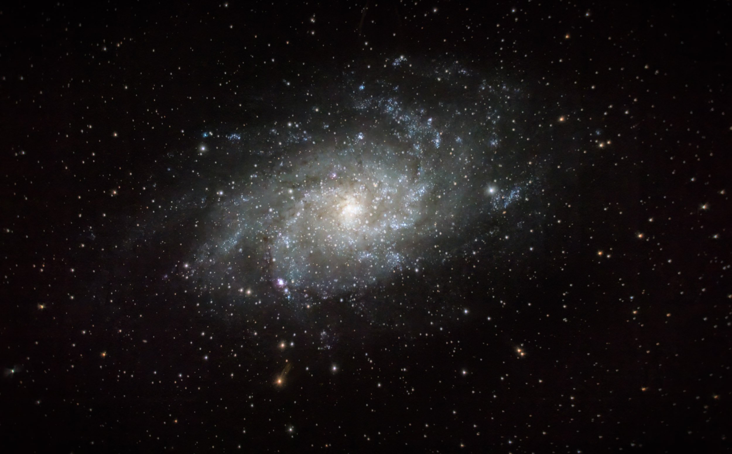 M33 - Triangulum Galaxy. Edited in Siril. 33 frames at 60 sec (00:33:00 total) ISO 3200 f/6.3 945mm - Celestron NexStar 6SE w/ 0.63 focal reducer & Nikon Z8 (2024/11/01)