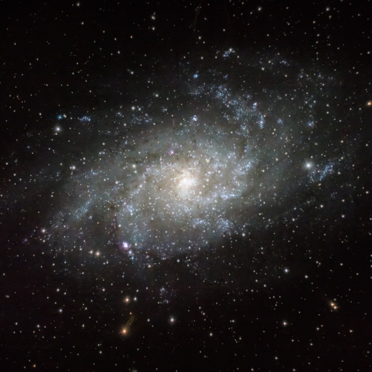 M33 - Triangulum Galaxy