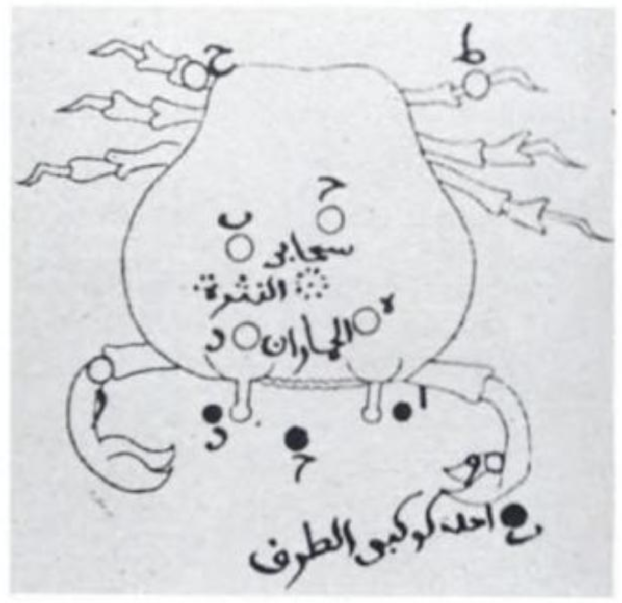 An ancient Persian Manuscript showing m44 as the dotted circle