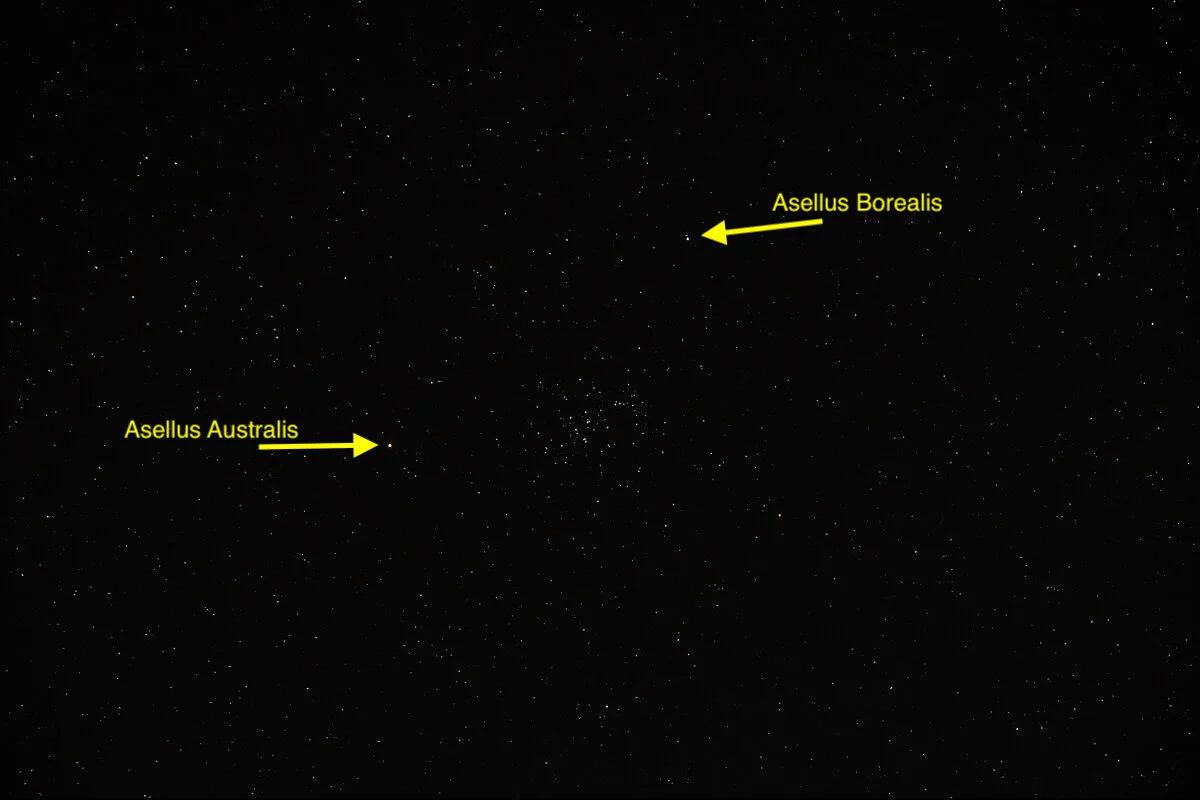 The 2 Donkeys from Mythology