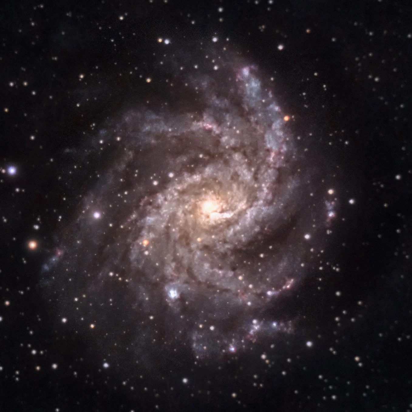 NGC 6946 The Fireworks Galaxy