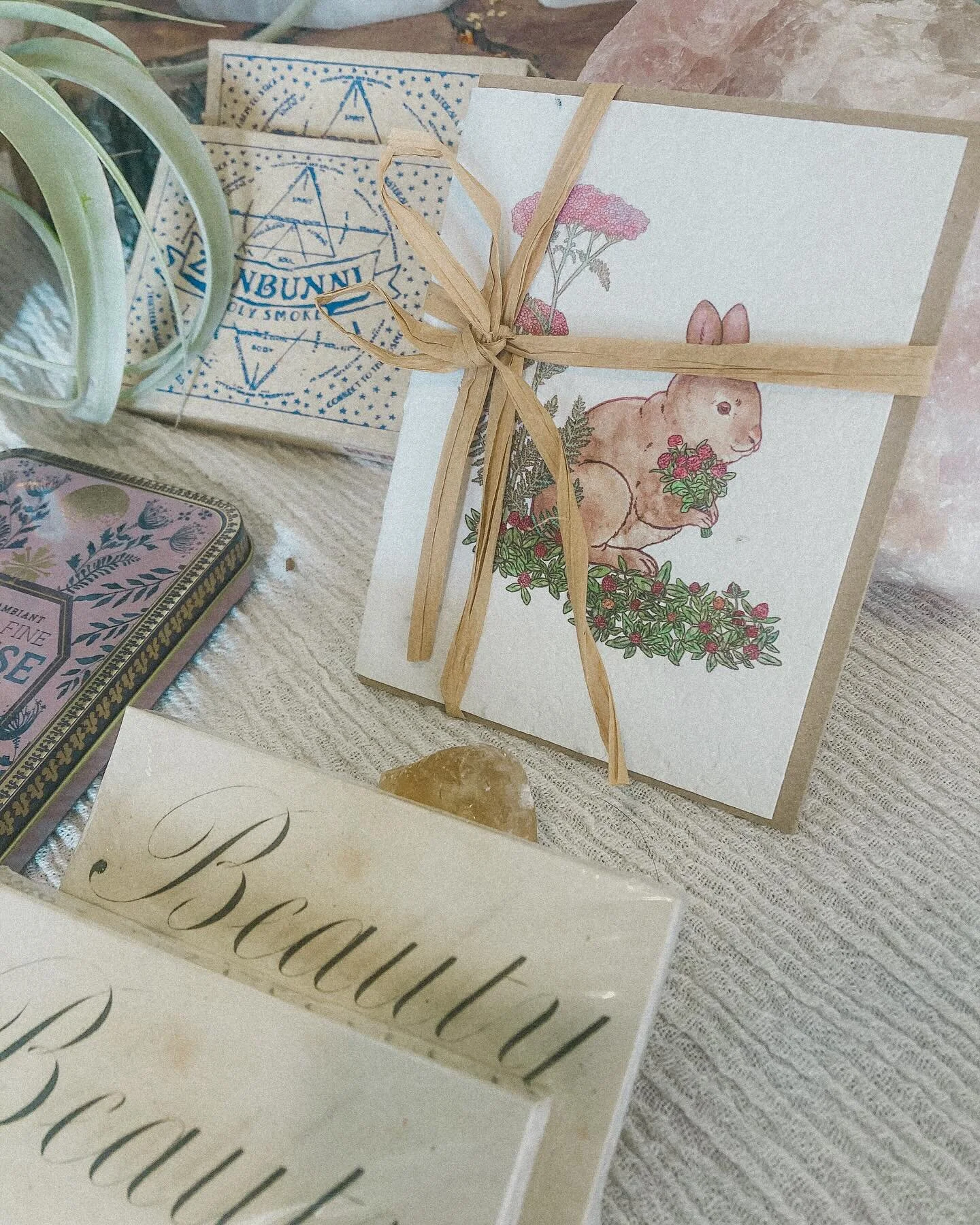 ✨🌸🐣happy spring😌🐝🐰

These seed cards offer a cute spring time reminder~ what seeds are you planting for the season ahead?🌱

New creativity candles by 🌹@louiseandrolia🌹 while supplies last🐝✨