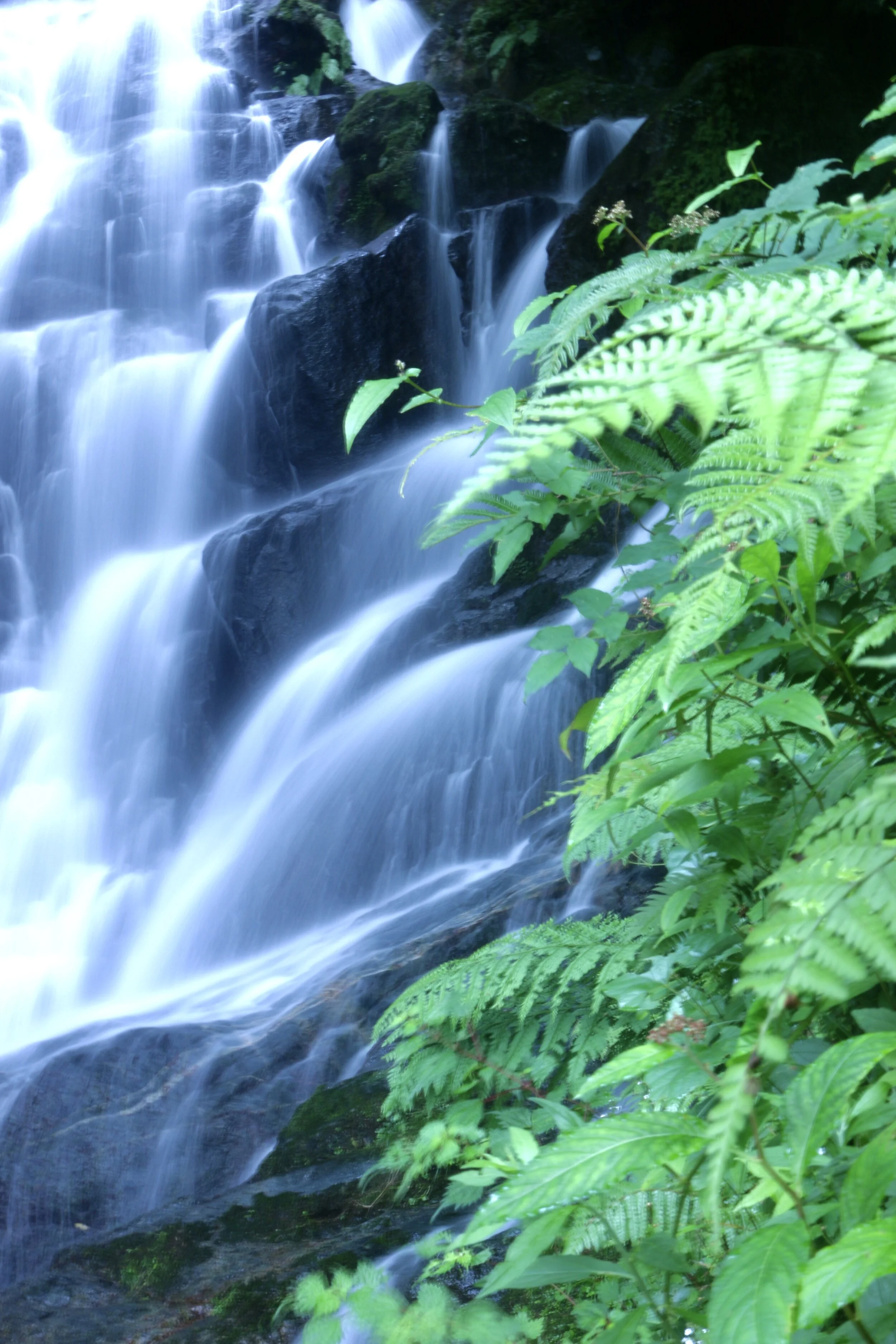 Shiraito Waterfall - Itoshima, Fukuoka, JPN