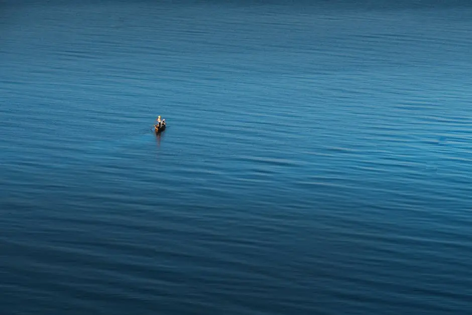 A Family Friendly Fishing Guide to San Diego's Deep-Sea Wonders