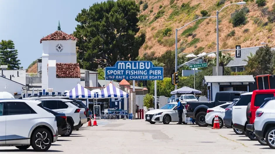 What Should I Know About Half-Day Fishing Charters in San Diego?