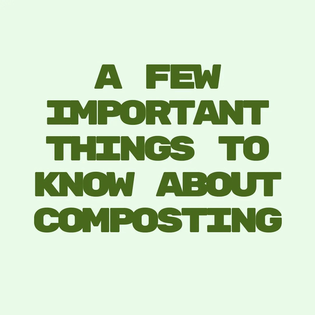 A brief discussion about composting🪴regarding the dos and donts, the coffee filters and teabags can only be put in them if they&rsquo;re not made of plastic! more information on my website regarding decomposition and a few various methods✌🏻☺️ 
.
.
