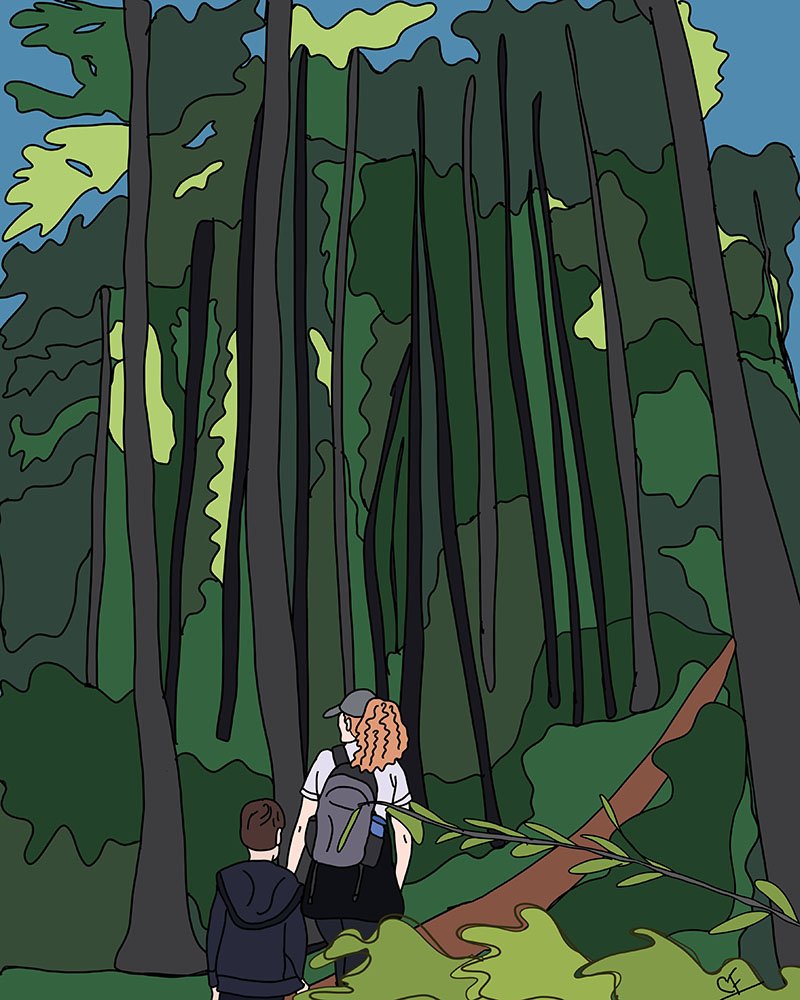 Forest Bathing: Substrate