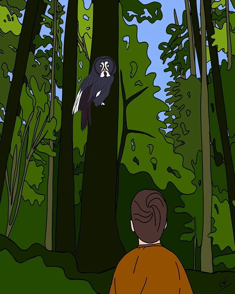 Forest Bathing: The Visitor