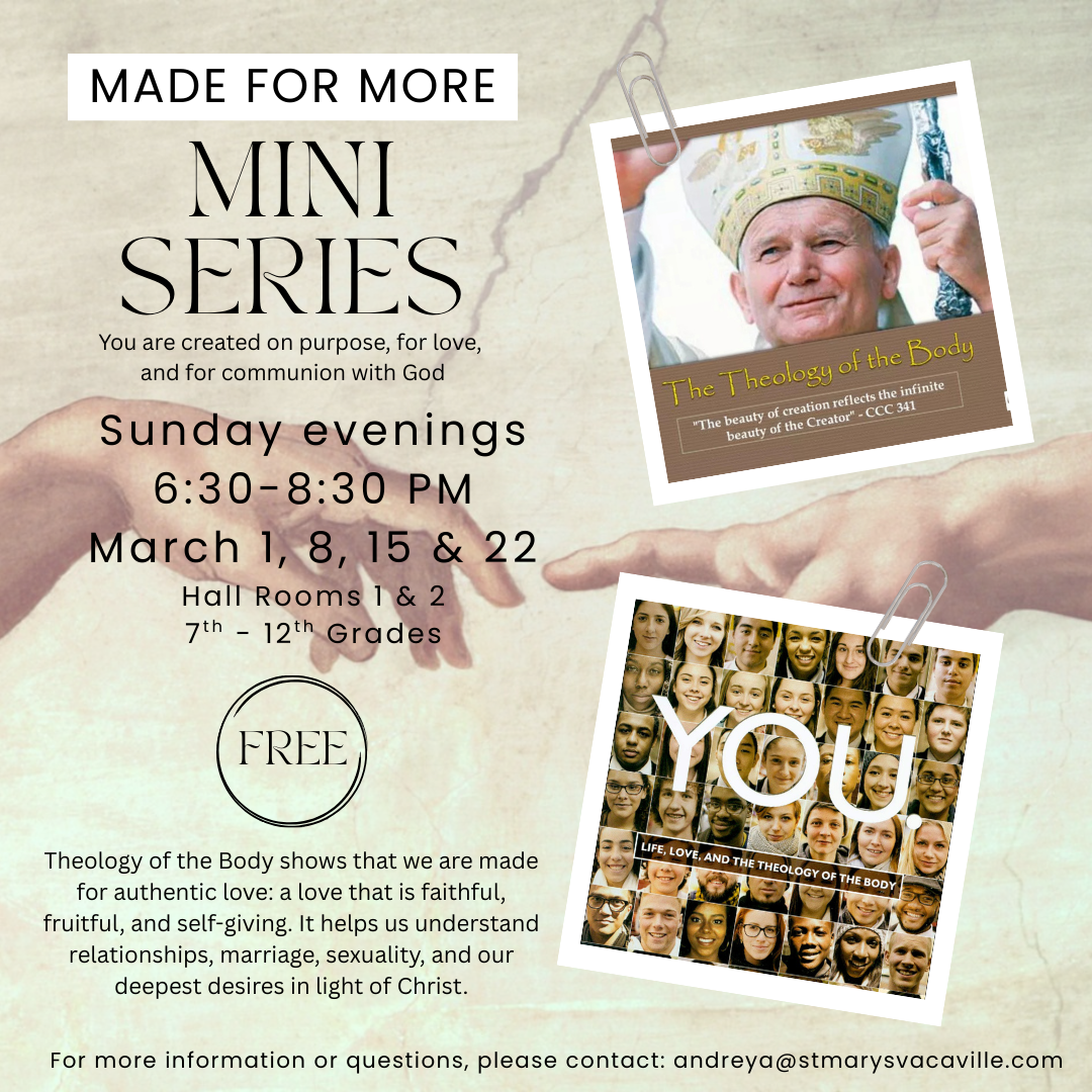Theology of the Body Mini Series