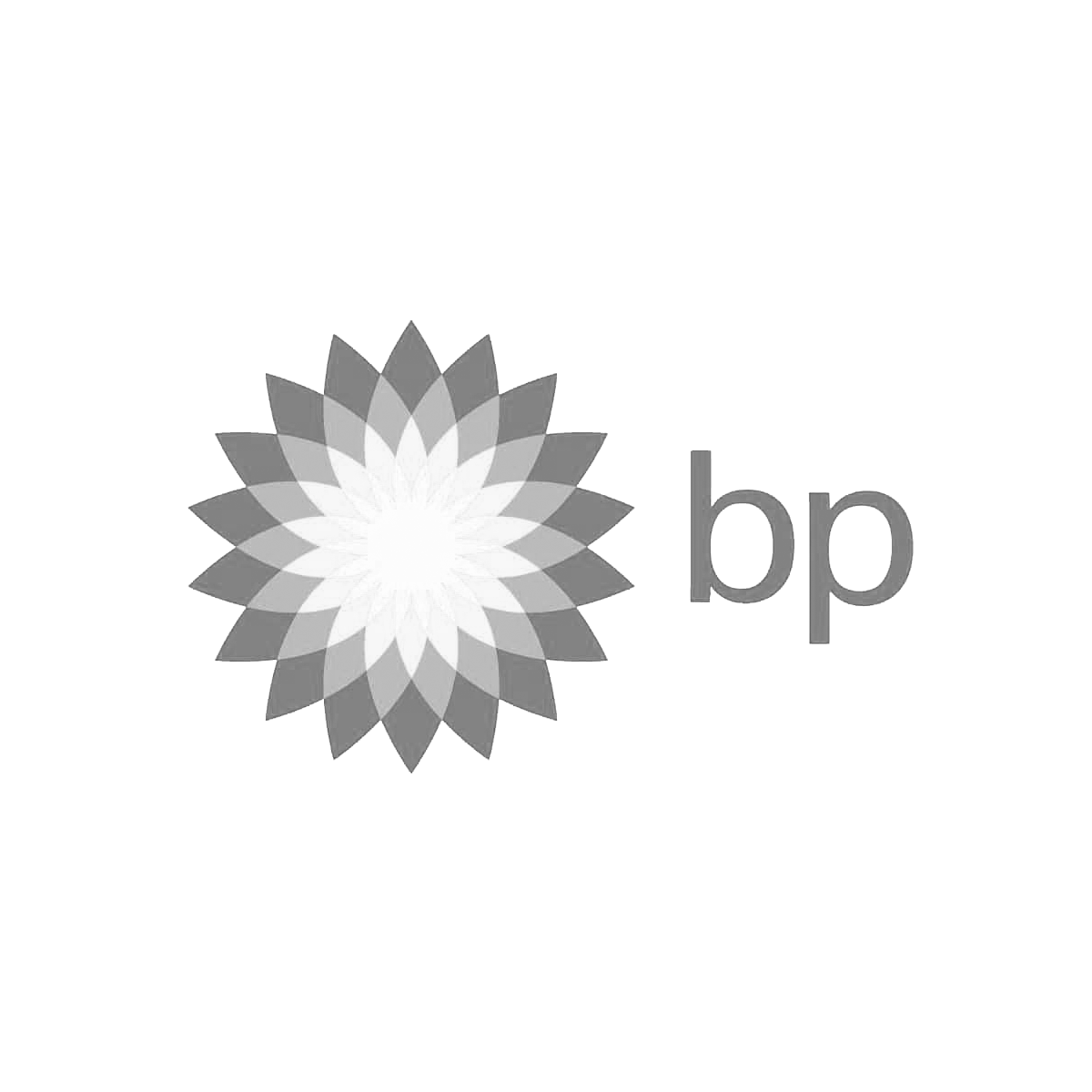 bp-logo-white-background-f5-e1499913620824.png