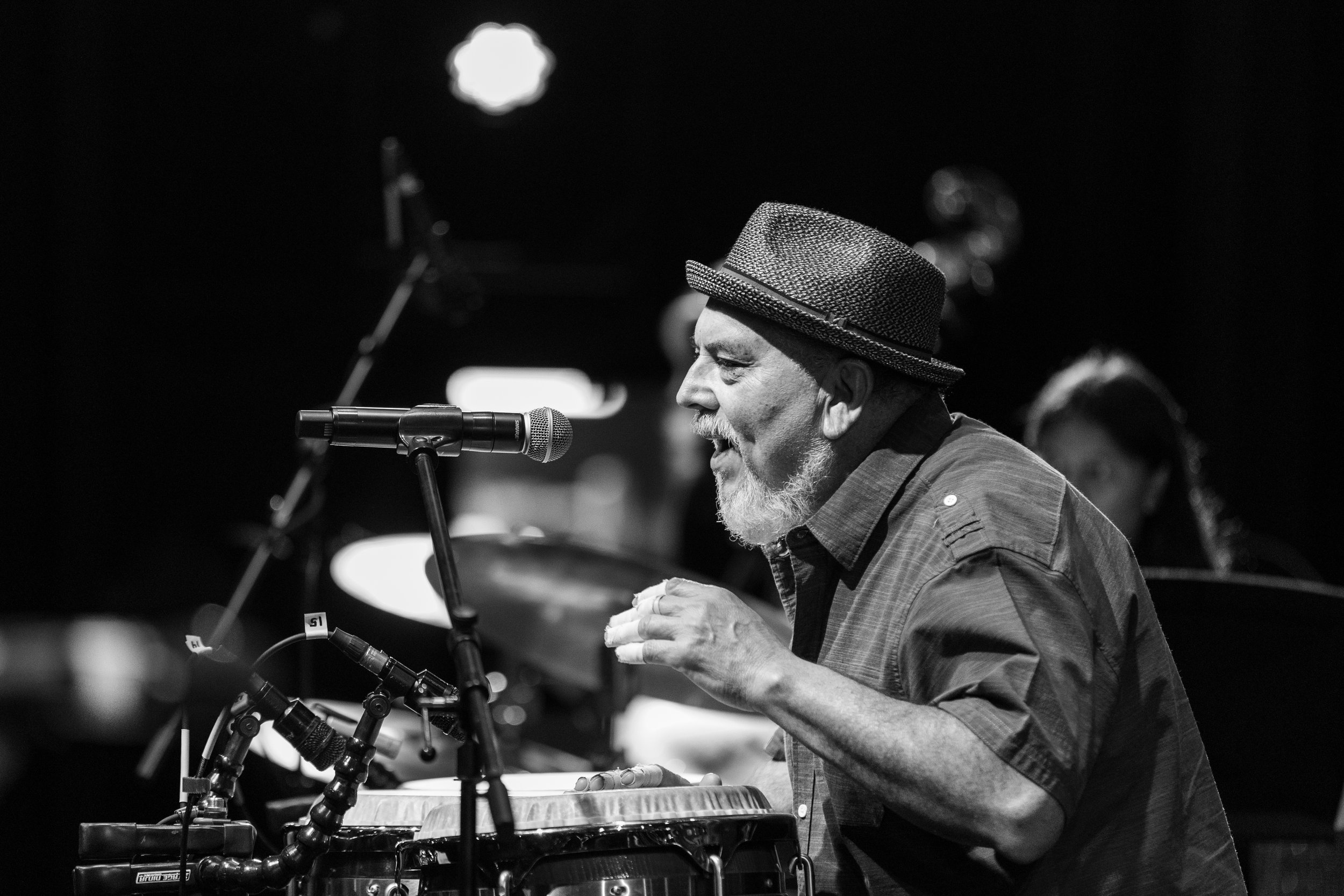 Ficke Photography-59.jpg