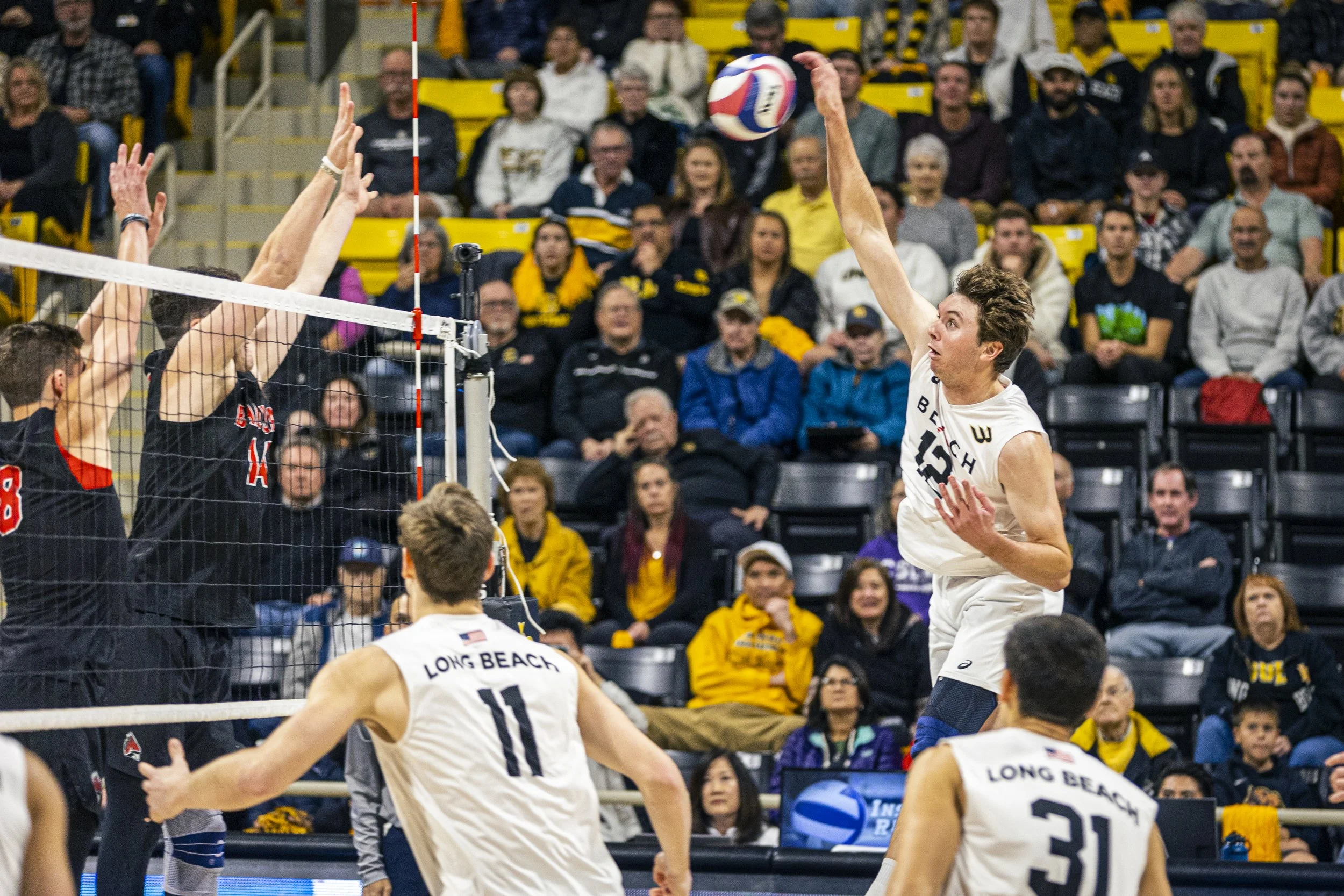 3-3 CSULB Volleyball-121.jpg