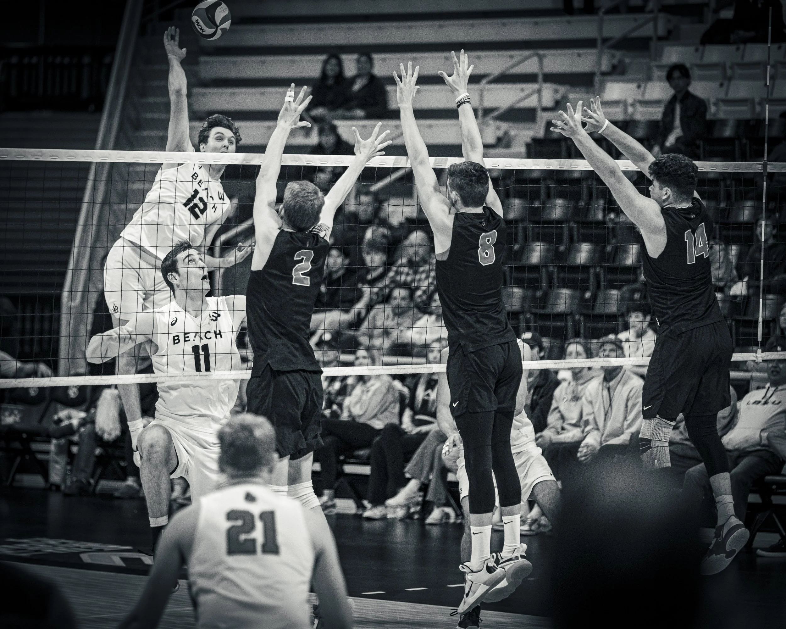 3-3 CSULB Volleyball-217.jpg