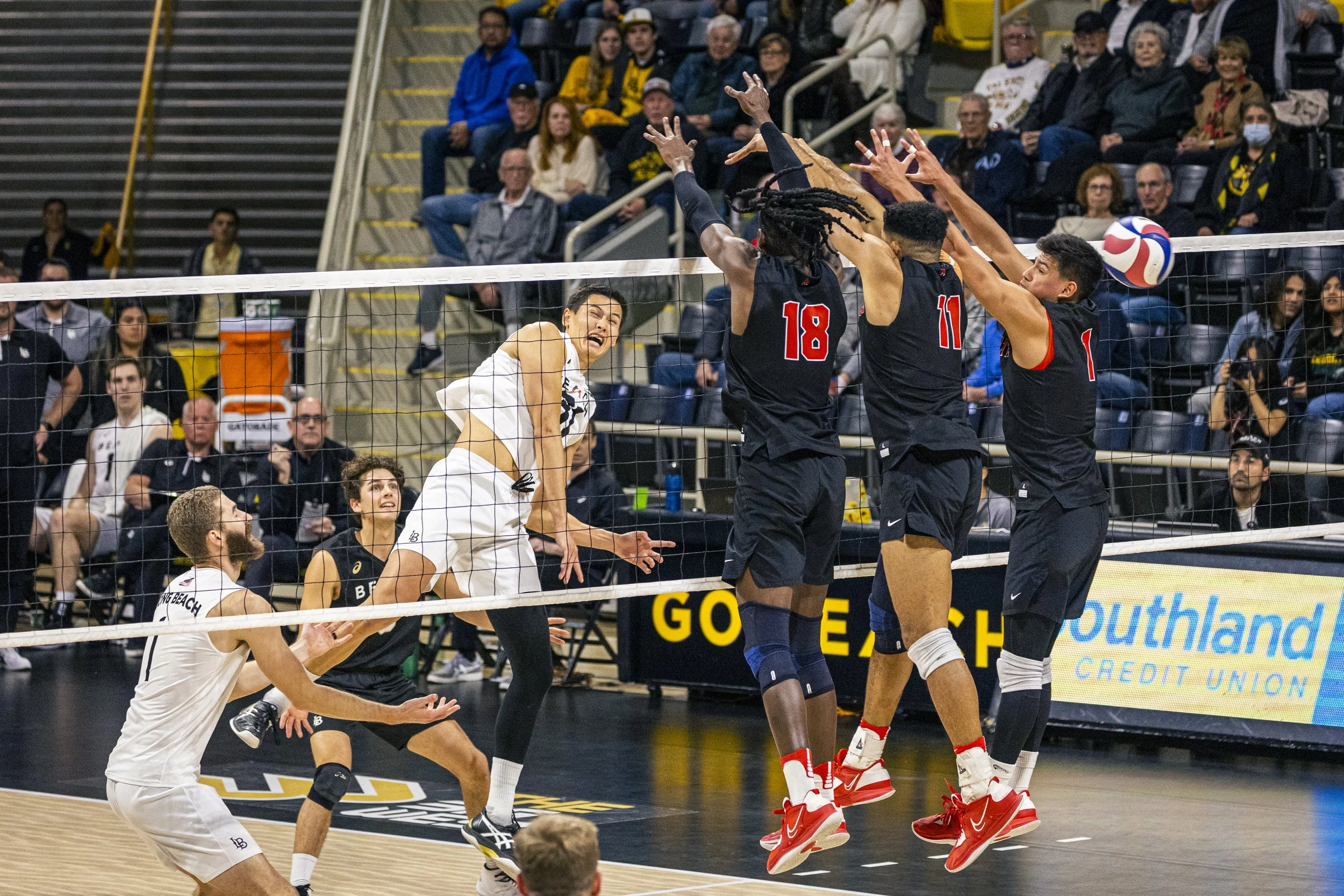 3-3 CSULB Volleyball-171.jpg