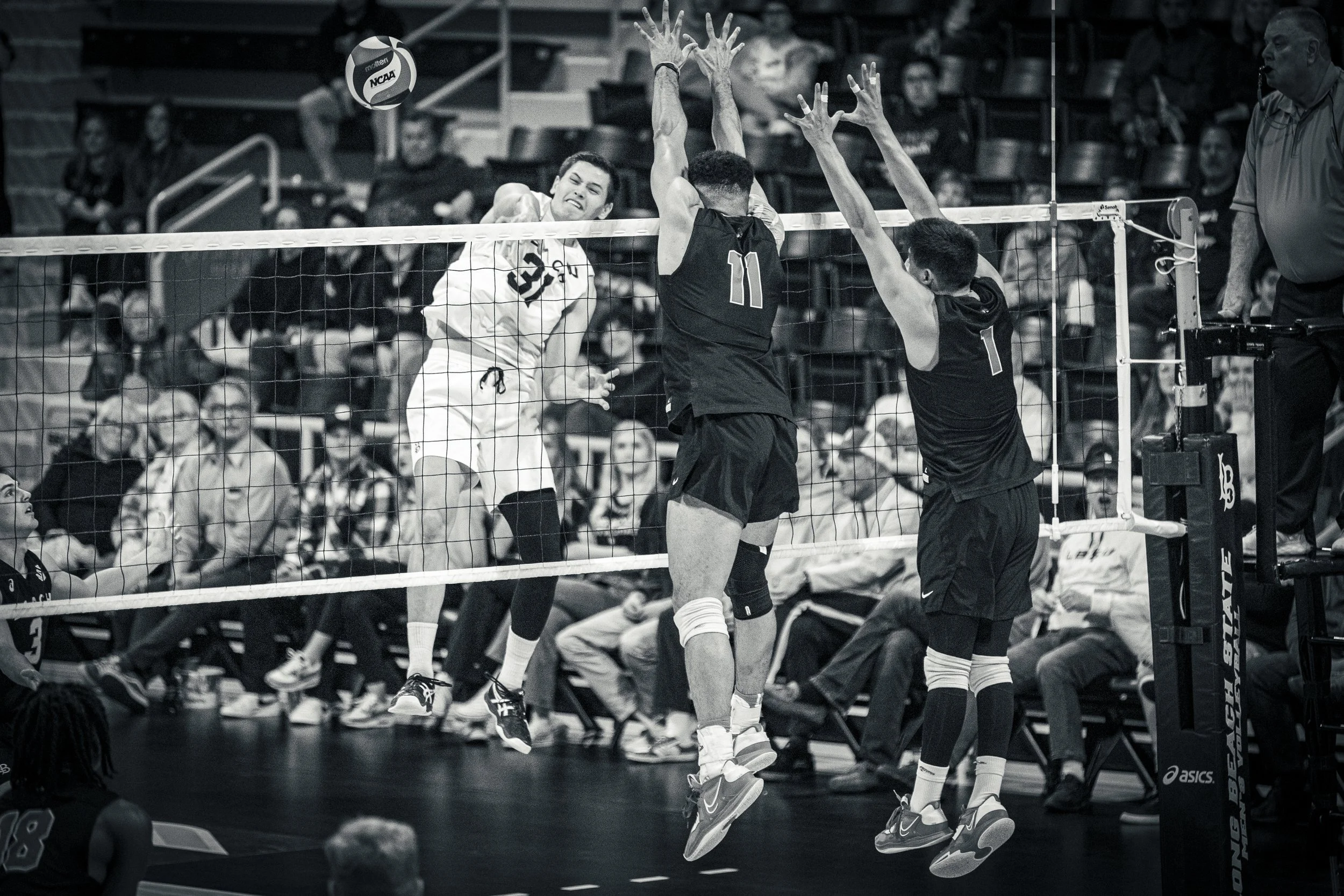 3-3 CSULB Volleyball-185.jpg