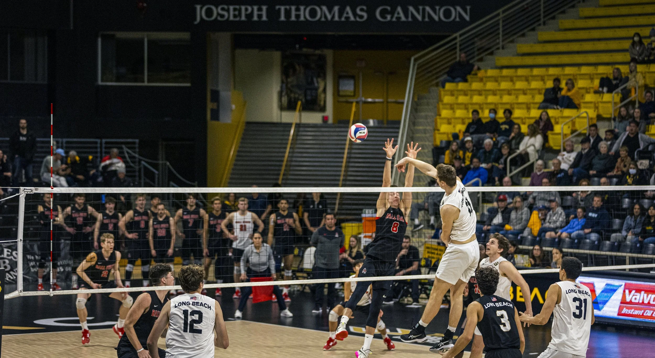 3-3 CSULB Volleyball-176.jpg