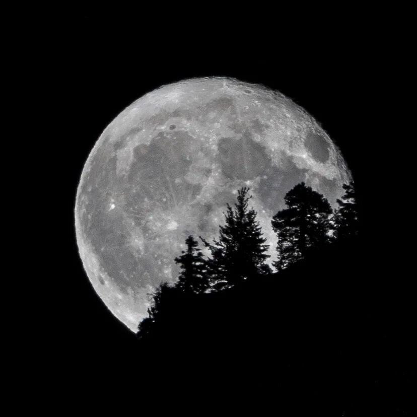 🌕📸

A full moon coming over the mountains in Forest Falls on the 4th of July 🇺🇲. 
.
.
.
Things for the #algorithm:
#astrophotography #moon #landscapephotography #fickephotography #canon70200mm
#canon70200 #moonphotography

See more pictures like 