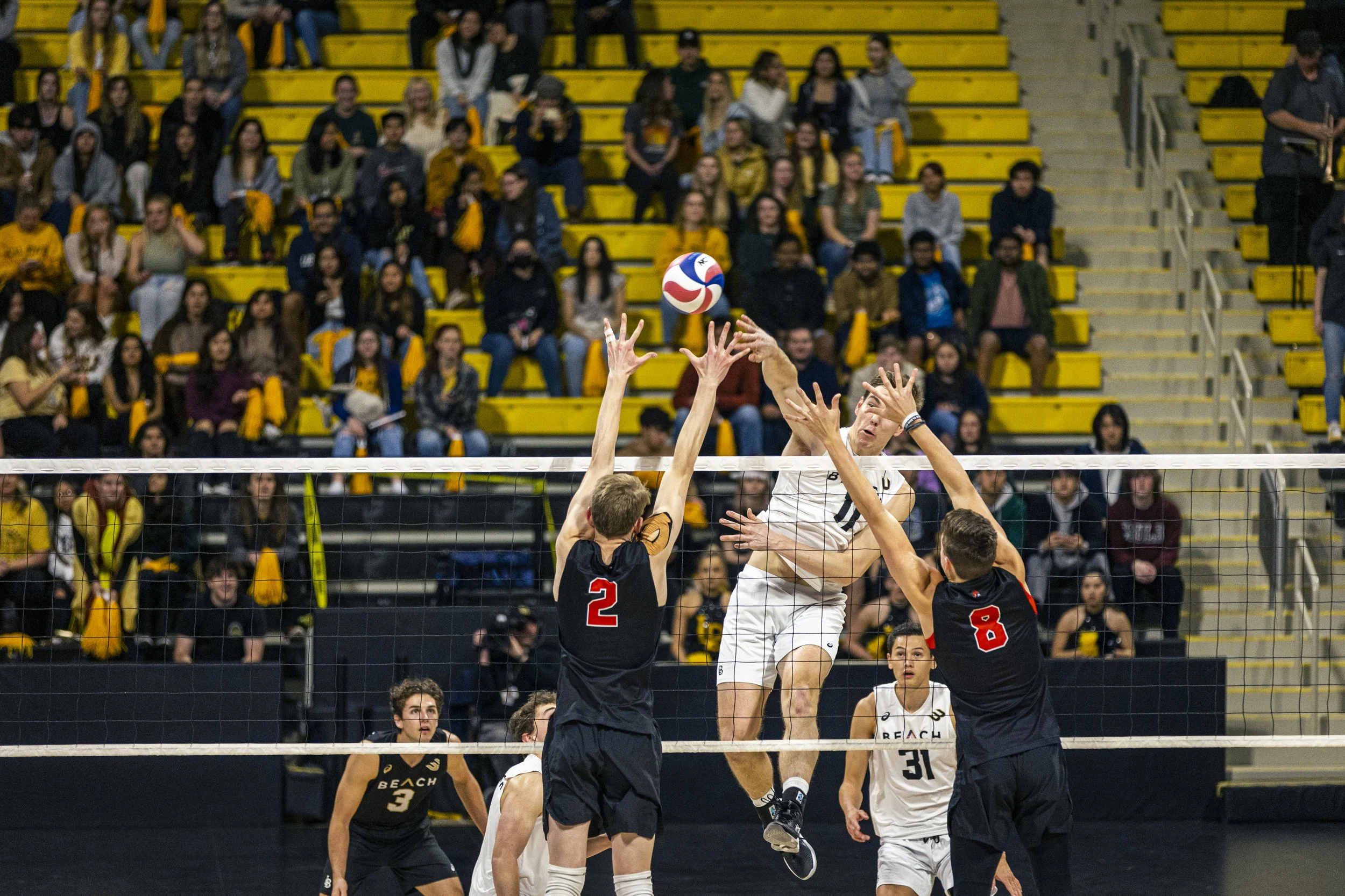 3-3 CSULB Volleyball-100.jpg