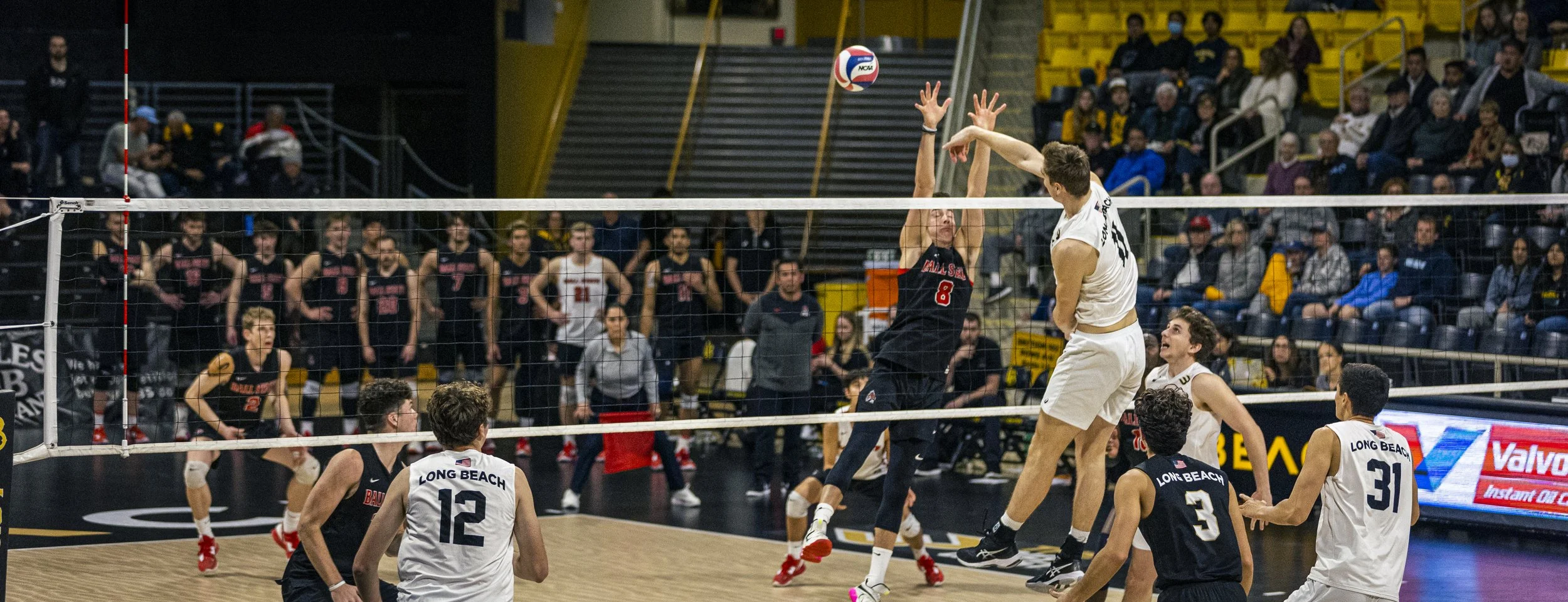3-3 CSULB Volleyball-175.jpg