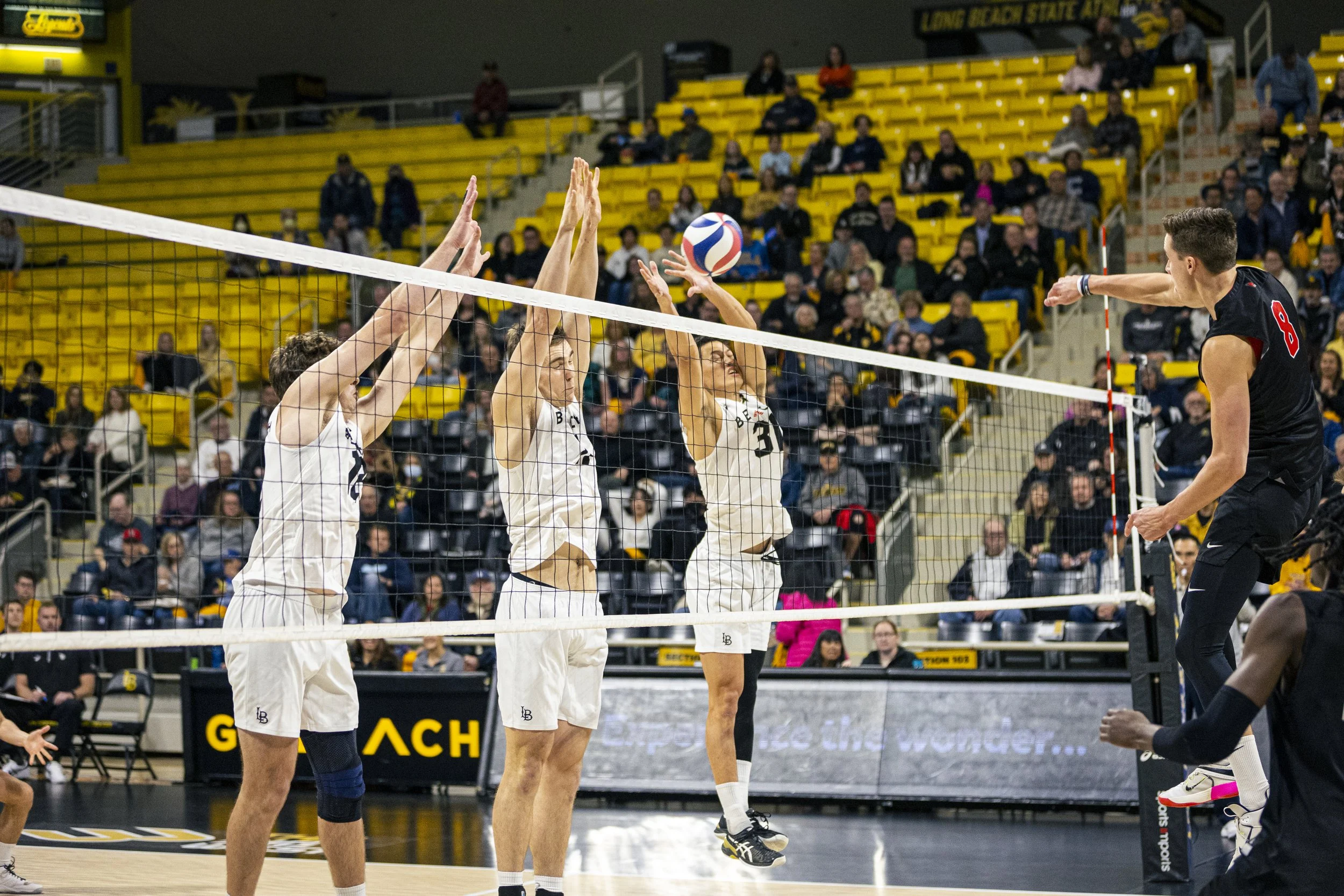 3-3 CSULB Volleyball-13.jpg
