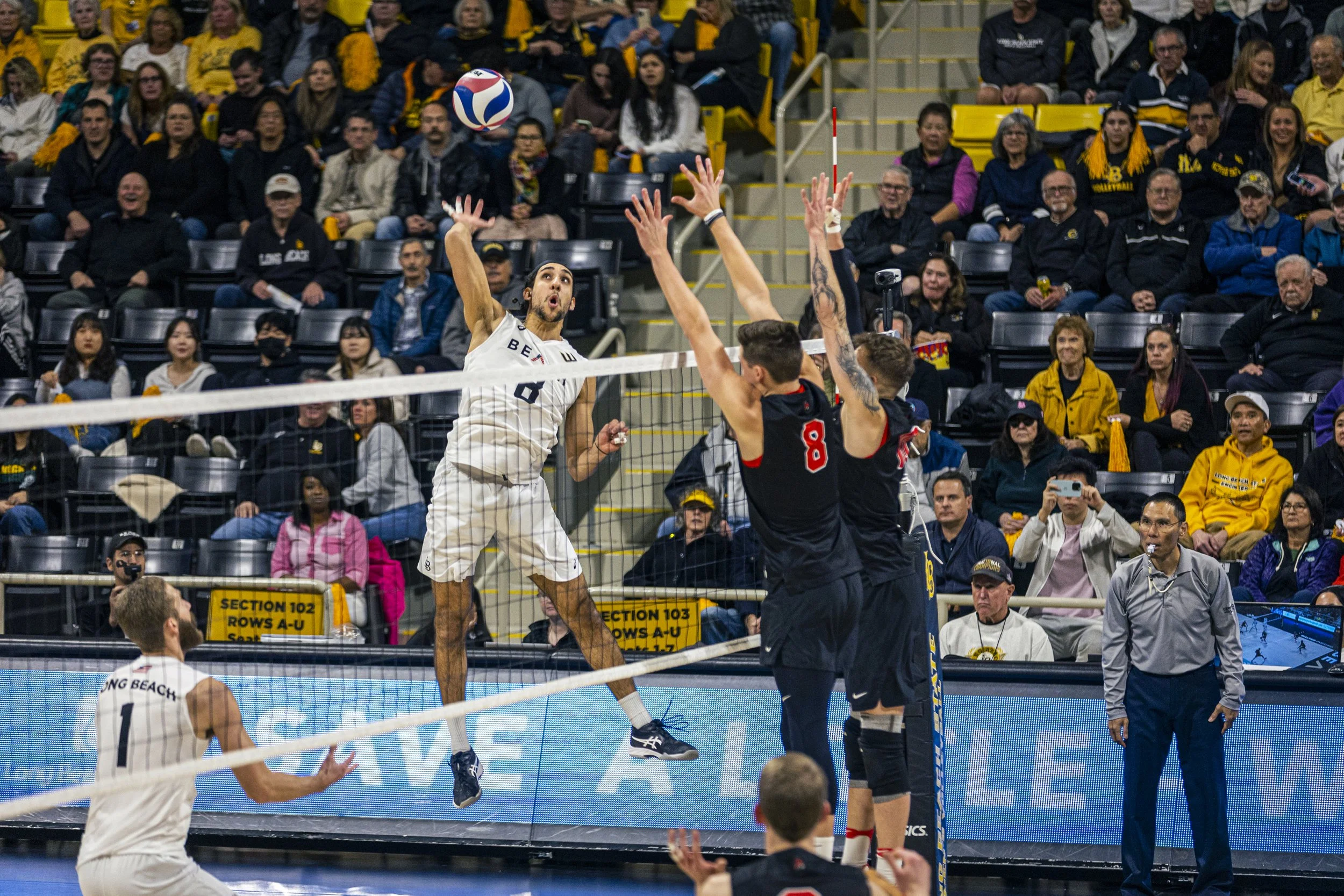 3-3 CSULB Volleyball-70.jpg