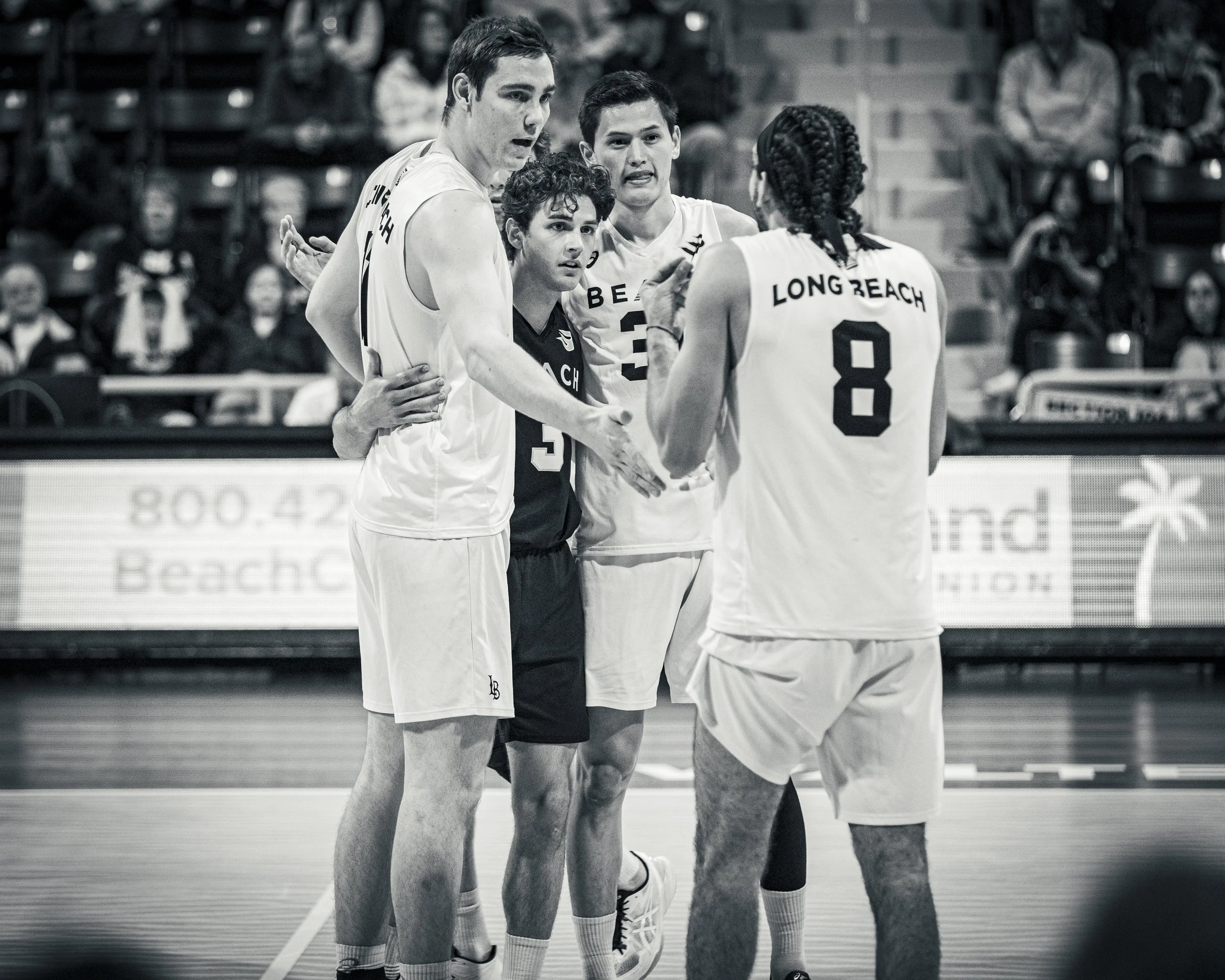 3-3 CSULB Volleyball-117.jpg