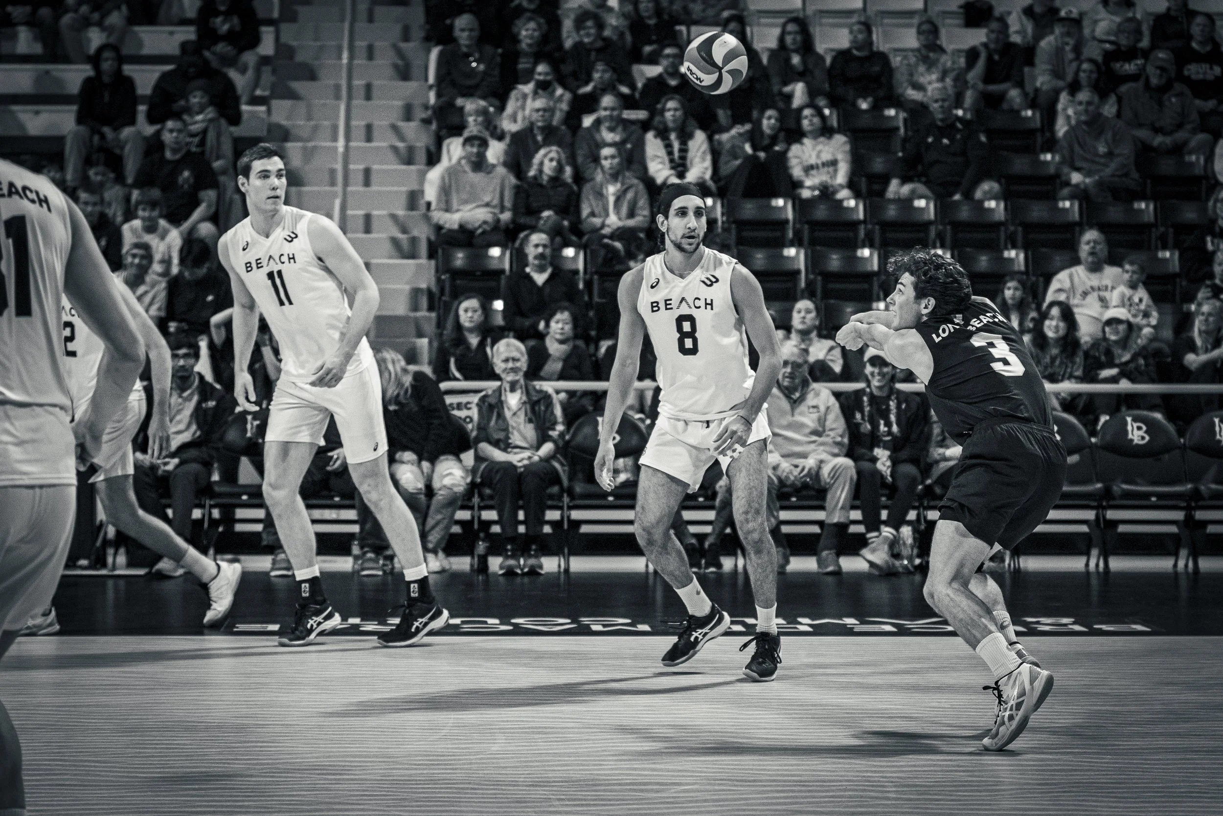 3-3 CSULB Volleyball-59.jpg