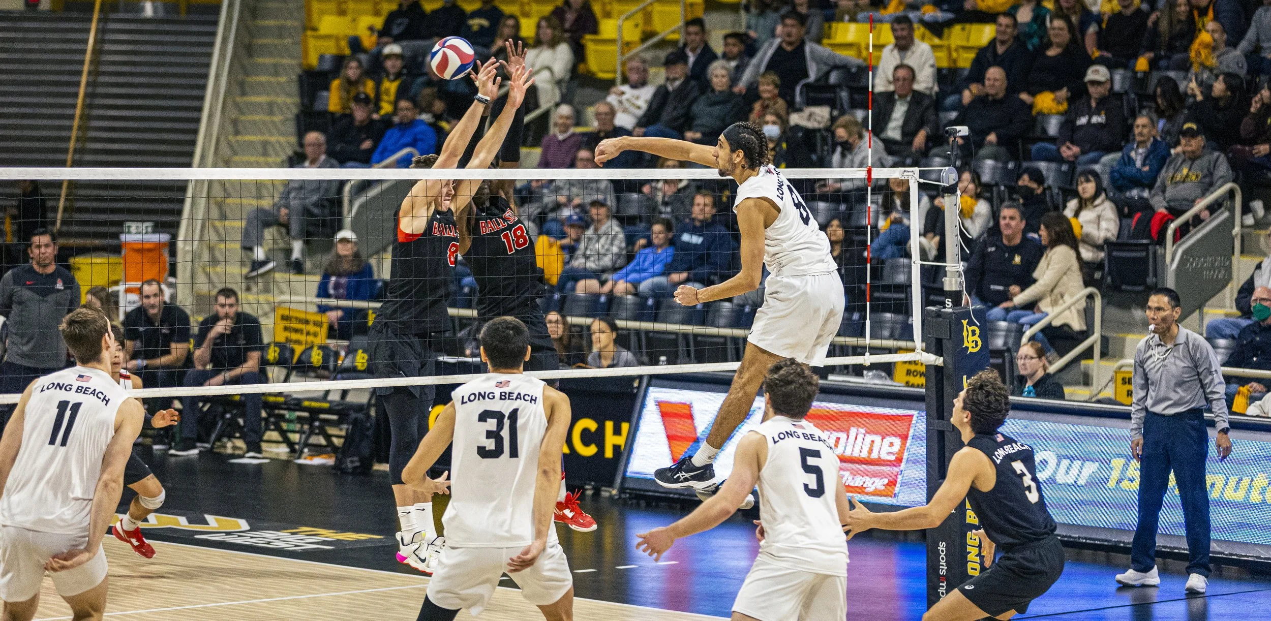 3-3 CSULB Volleyball-173.jpg