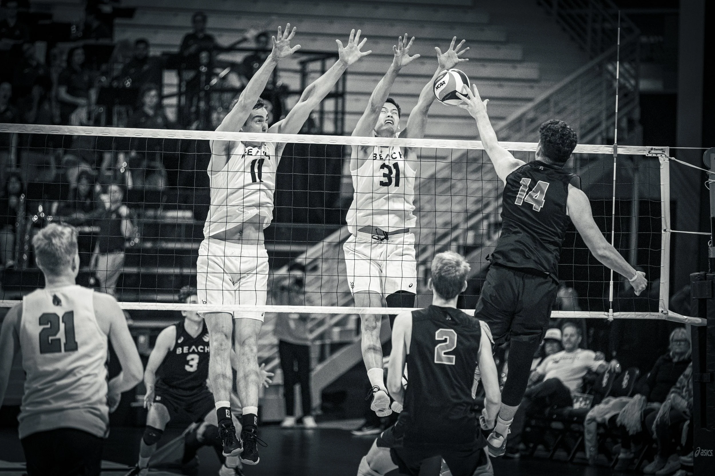 3-3 CSULB Volleyball-178.jpg