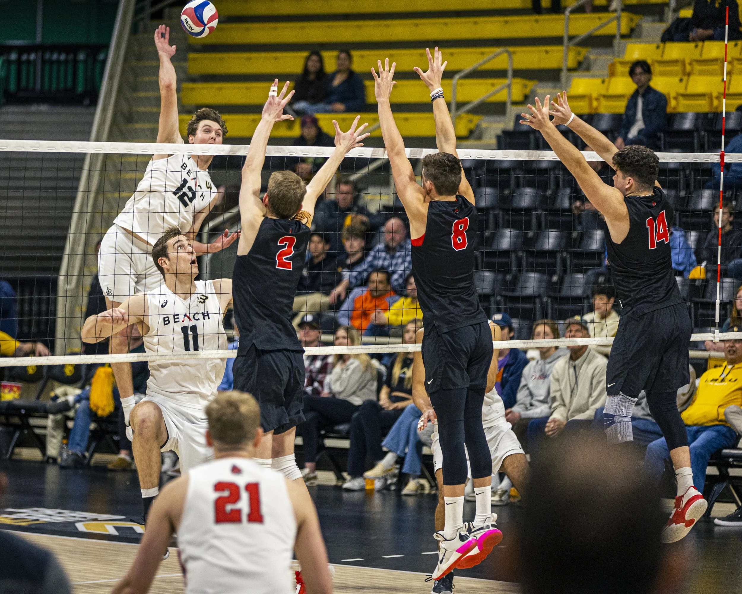 3-3 CSULB Volleyball-216.jpg