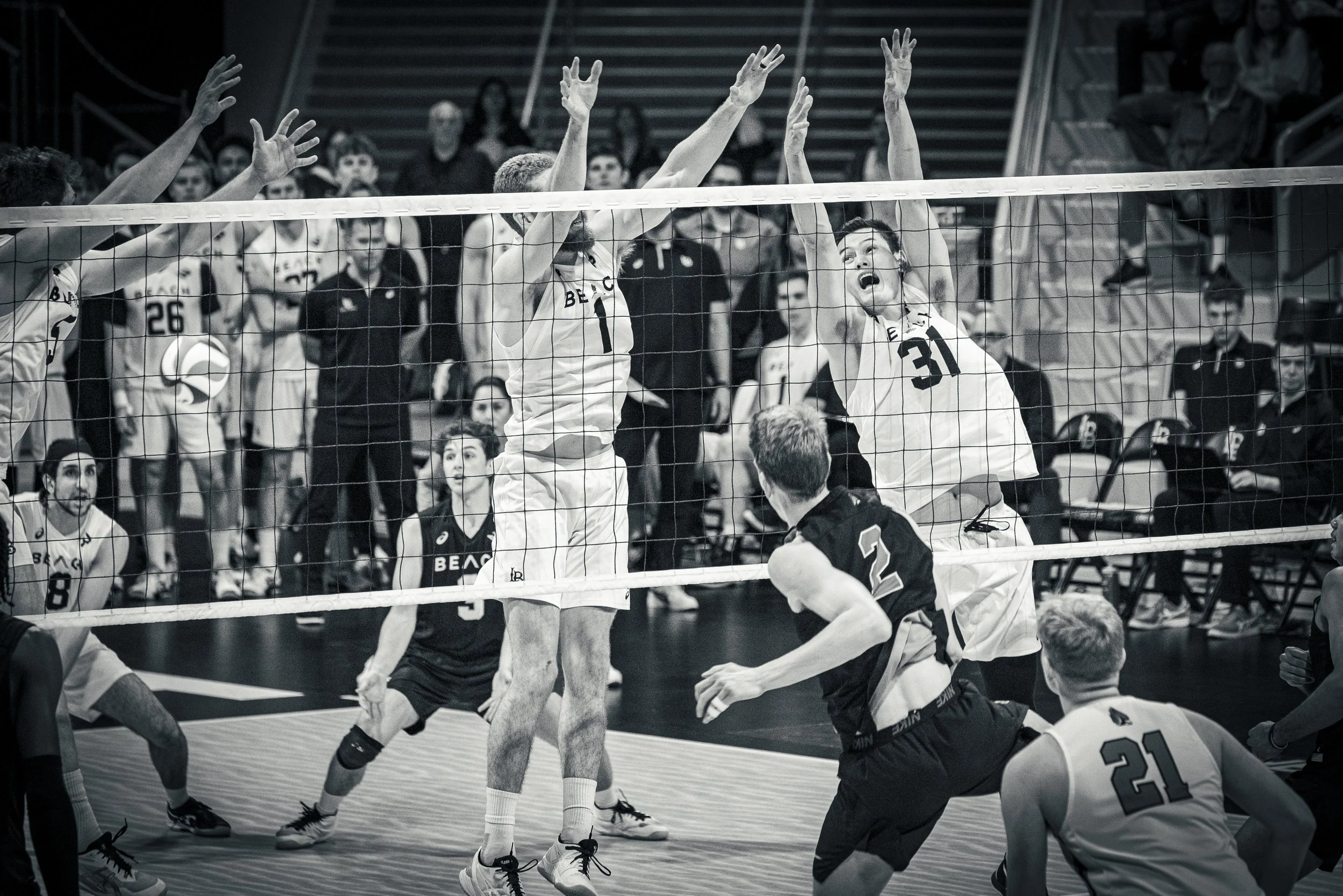 3-3 CSULB Volleyball-170.jpg