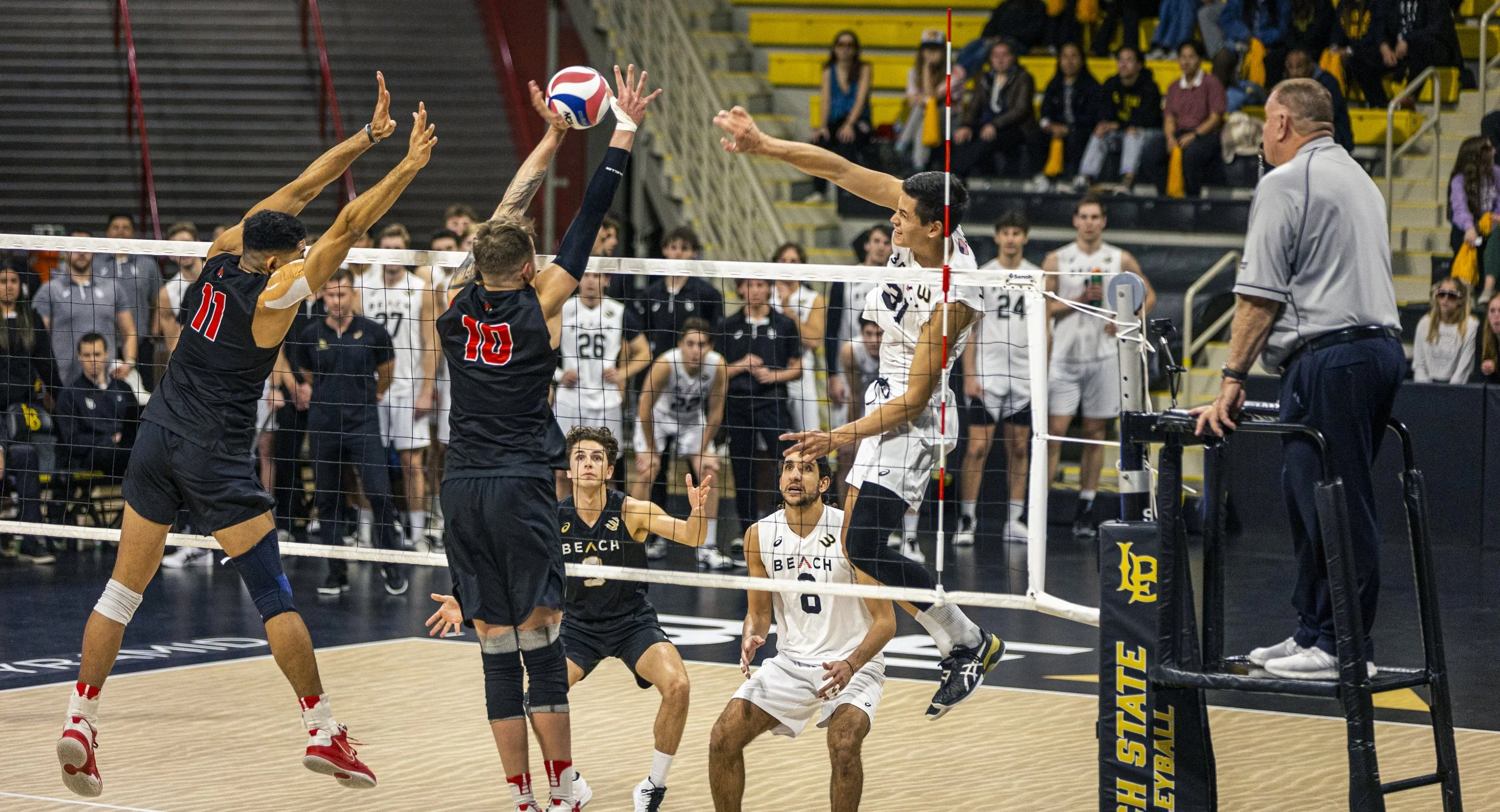 3-3 CSULB Volleyball-113.jpg