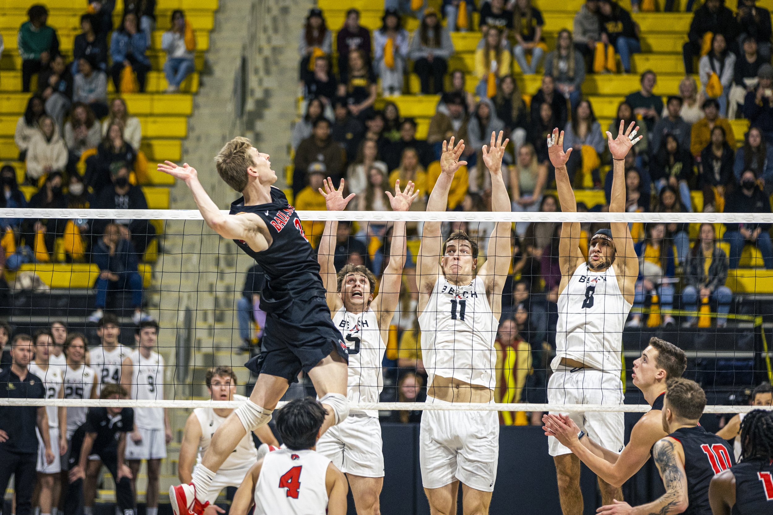 3-3 CSULB Volleyball-97.jpg