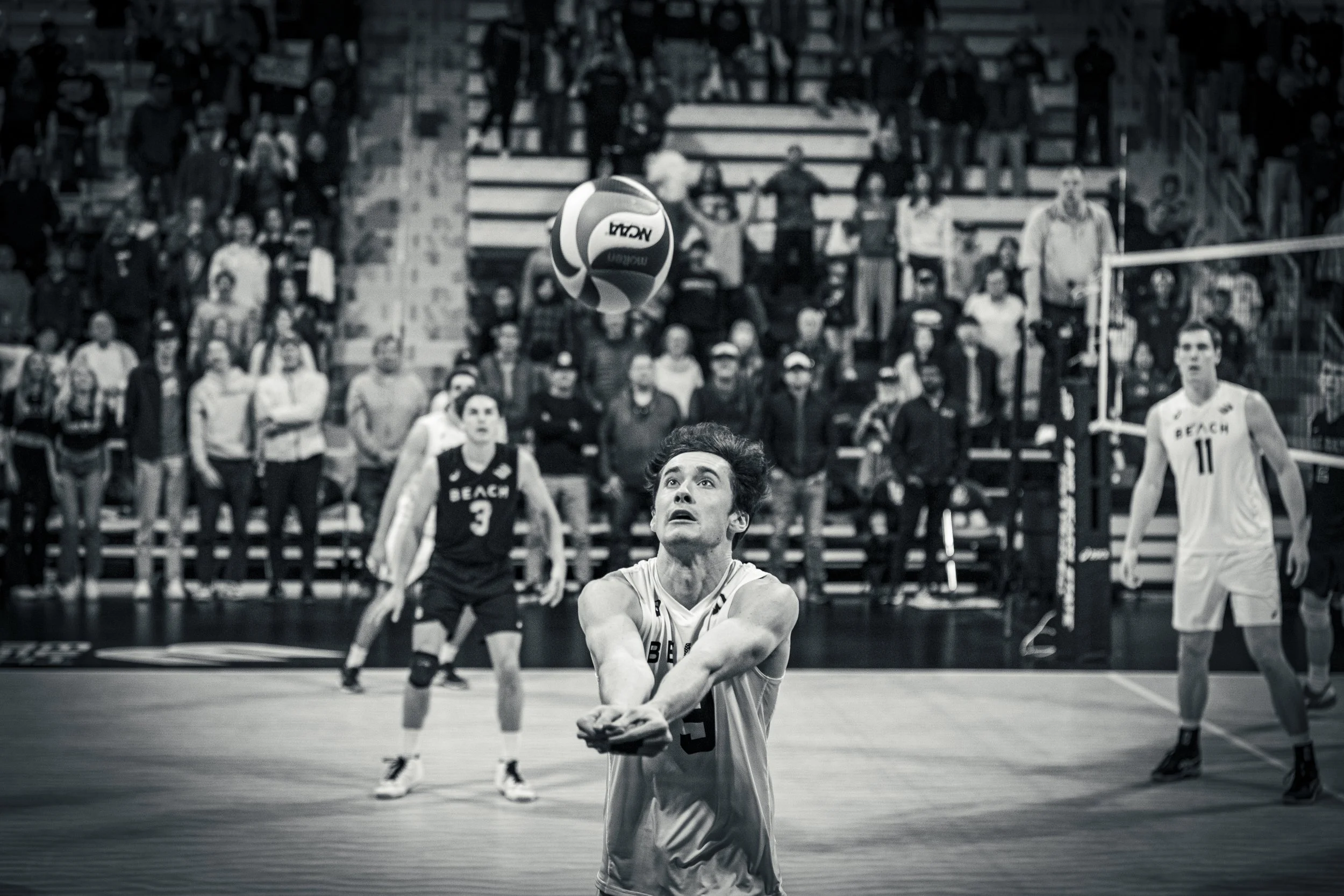 3-3 CSULB Volleyball-220.jpg