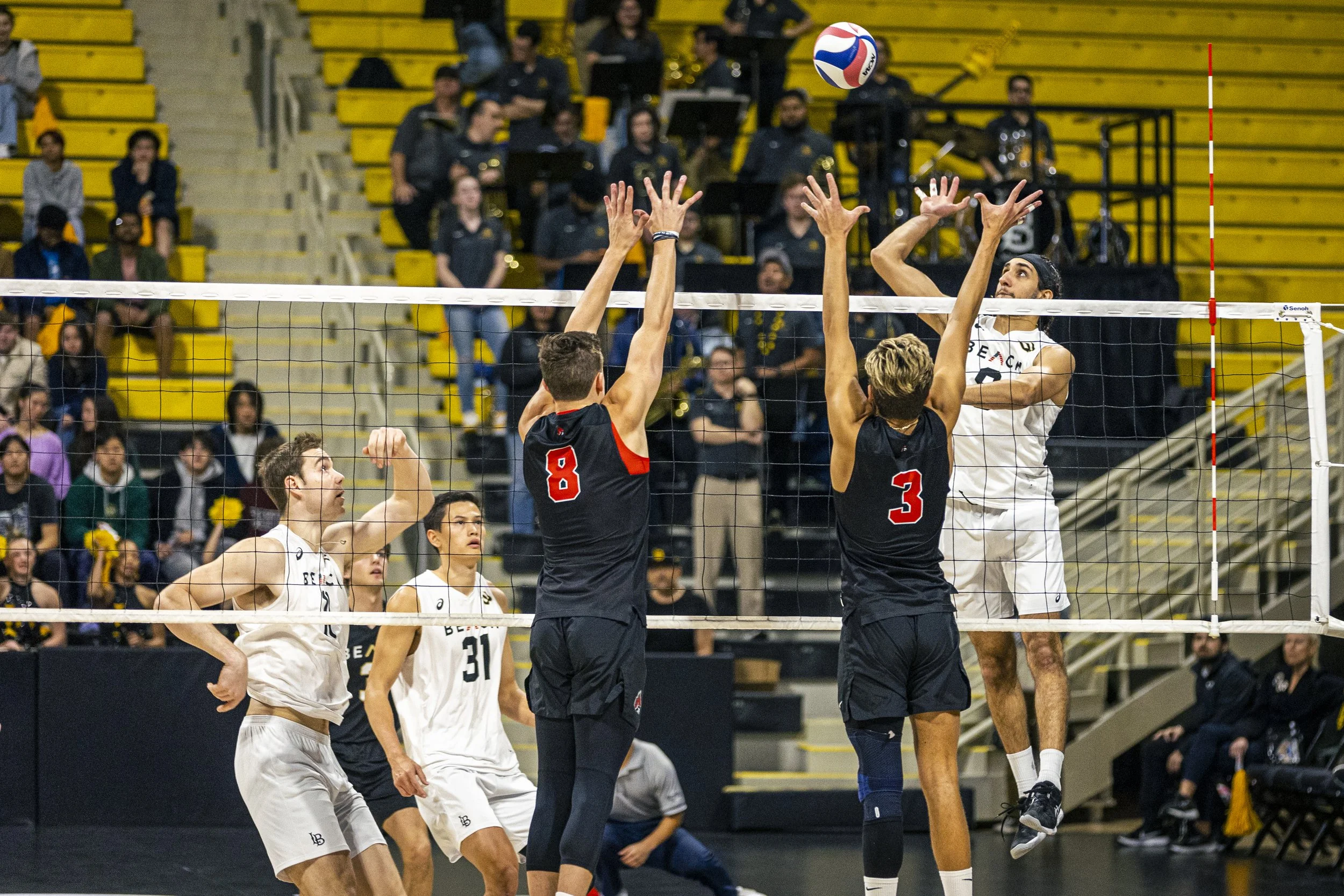 3-3 CSULB Volleyball-93.jpg