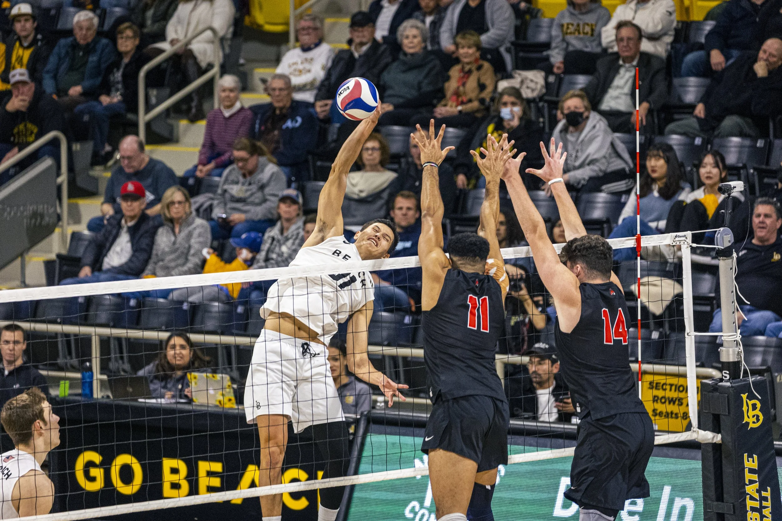 3-3 CSULB Volleyball-168.jpg