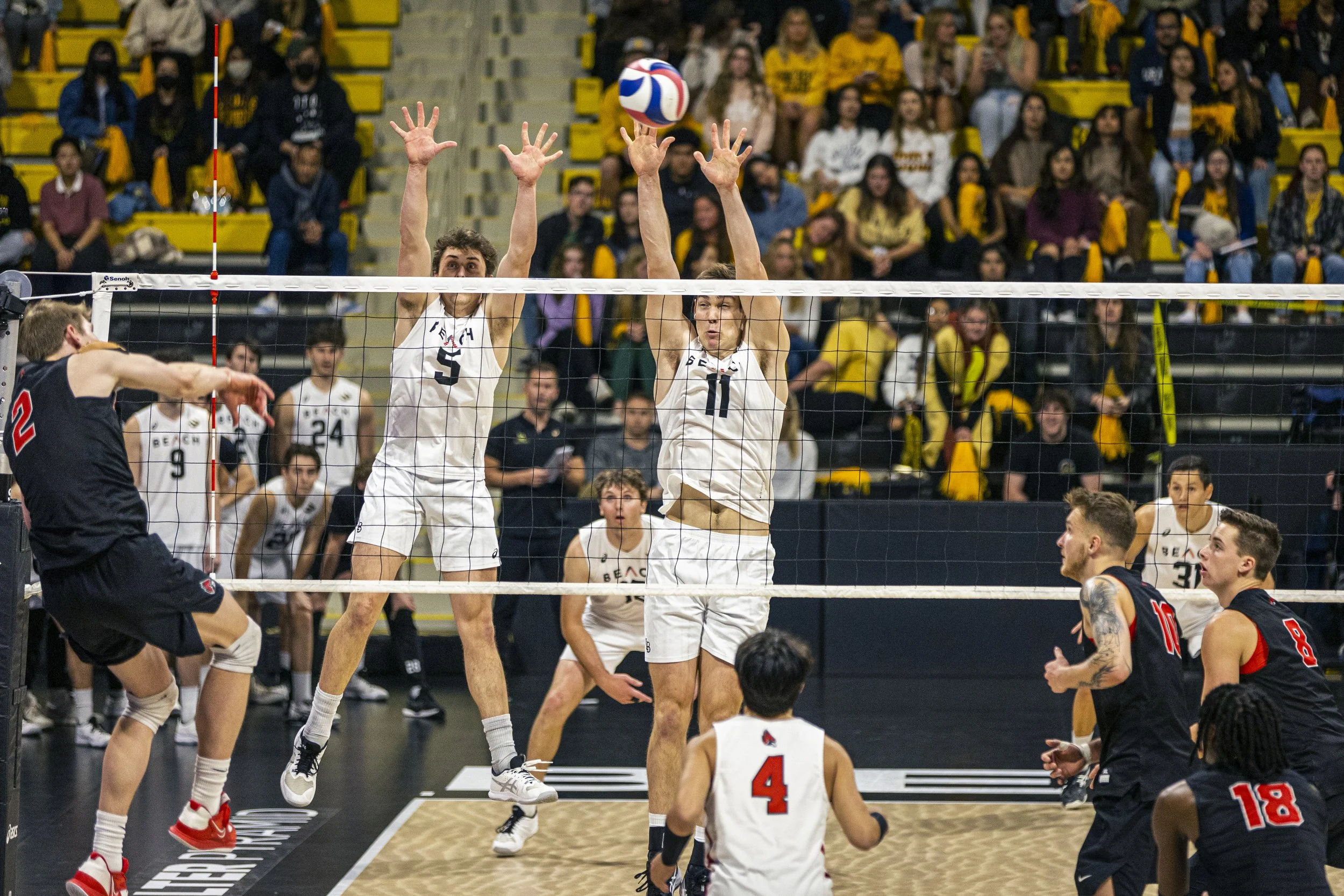 3-3 CSULB Volleyball-101.jpg