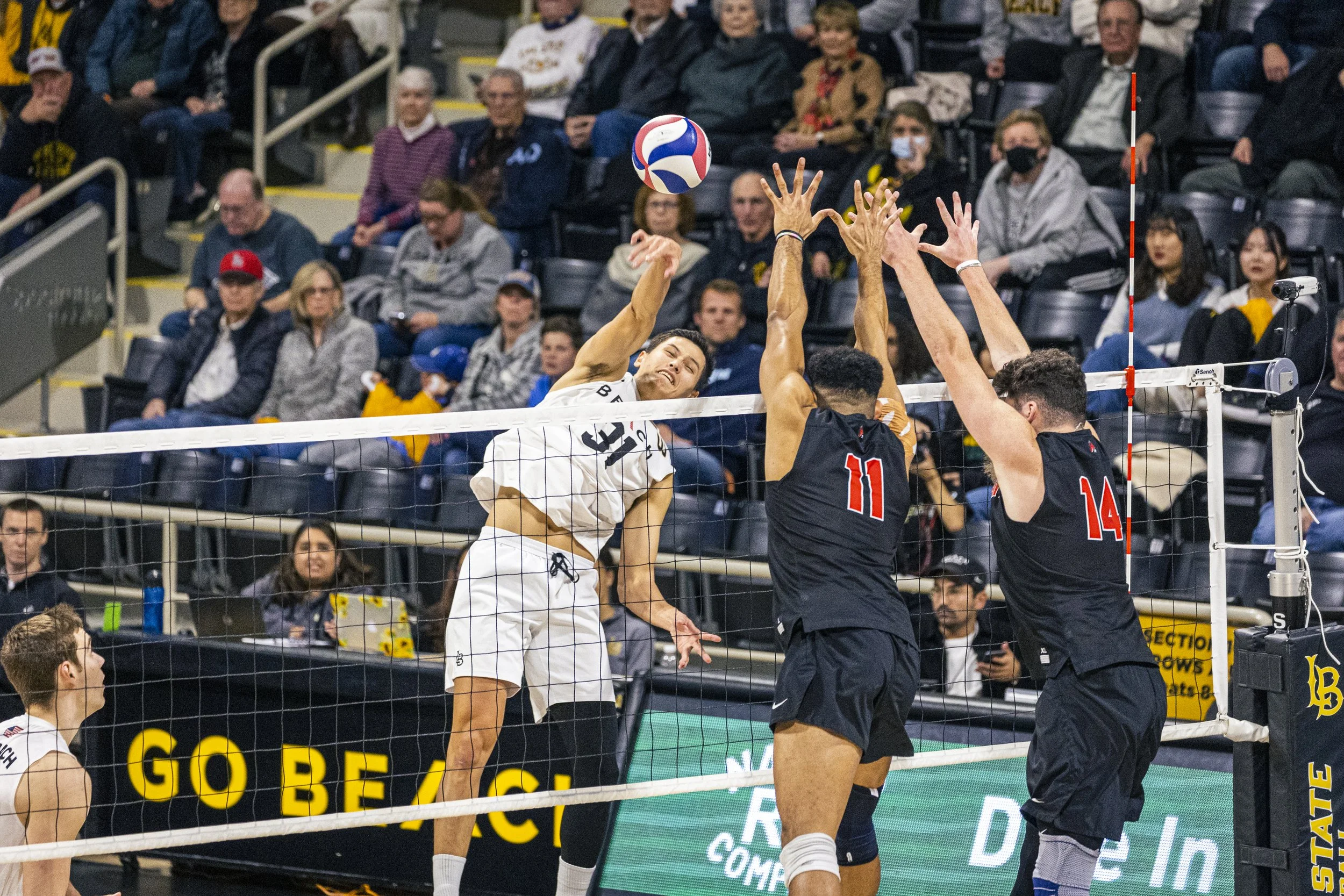 3-3 CSULB Volleyball-169.jpg