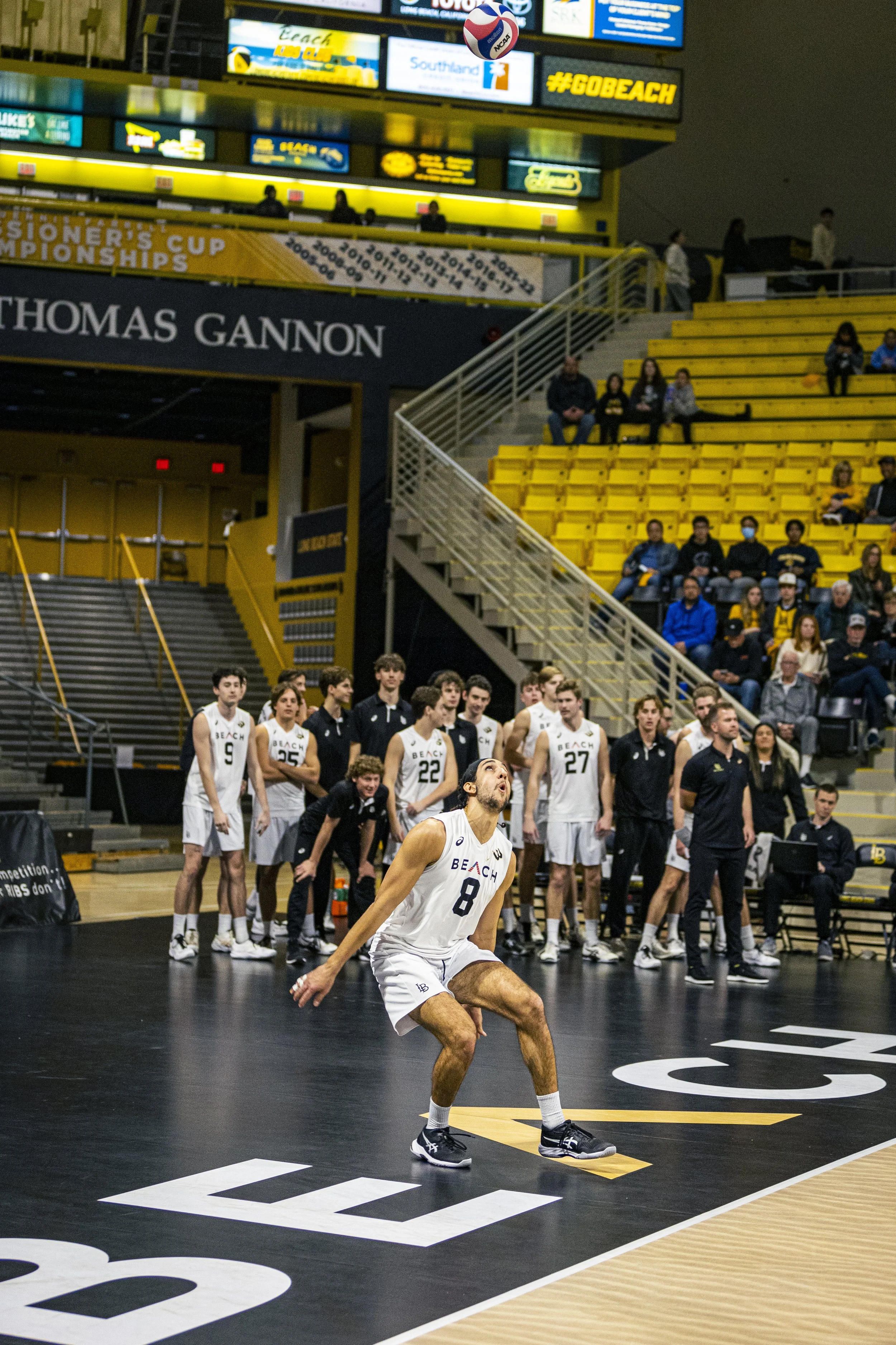 3-3 CSULB Volleyball-33.jpg