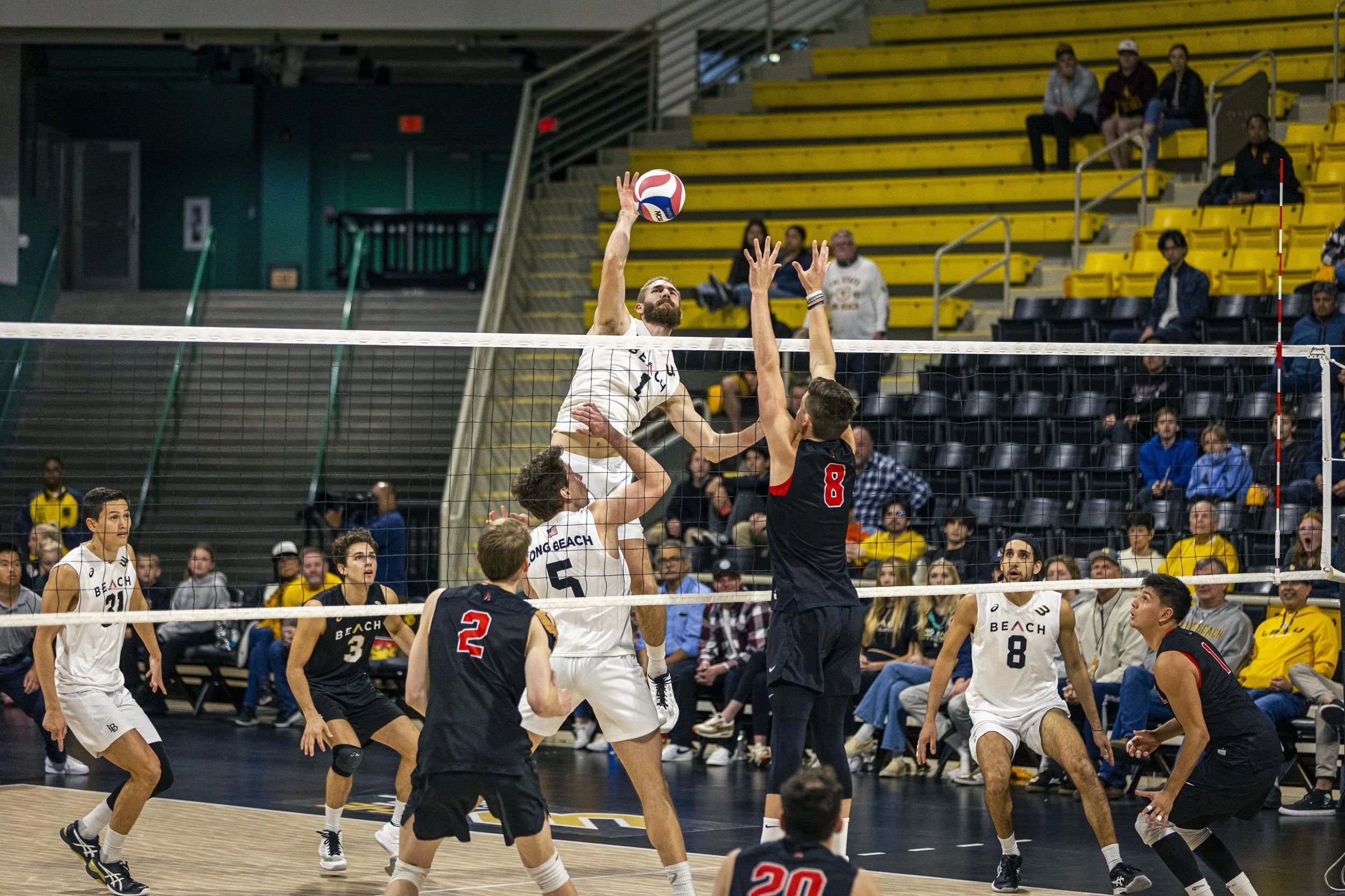 3-3 CSULB Volleyball-212.jpg