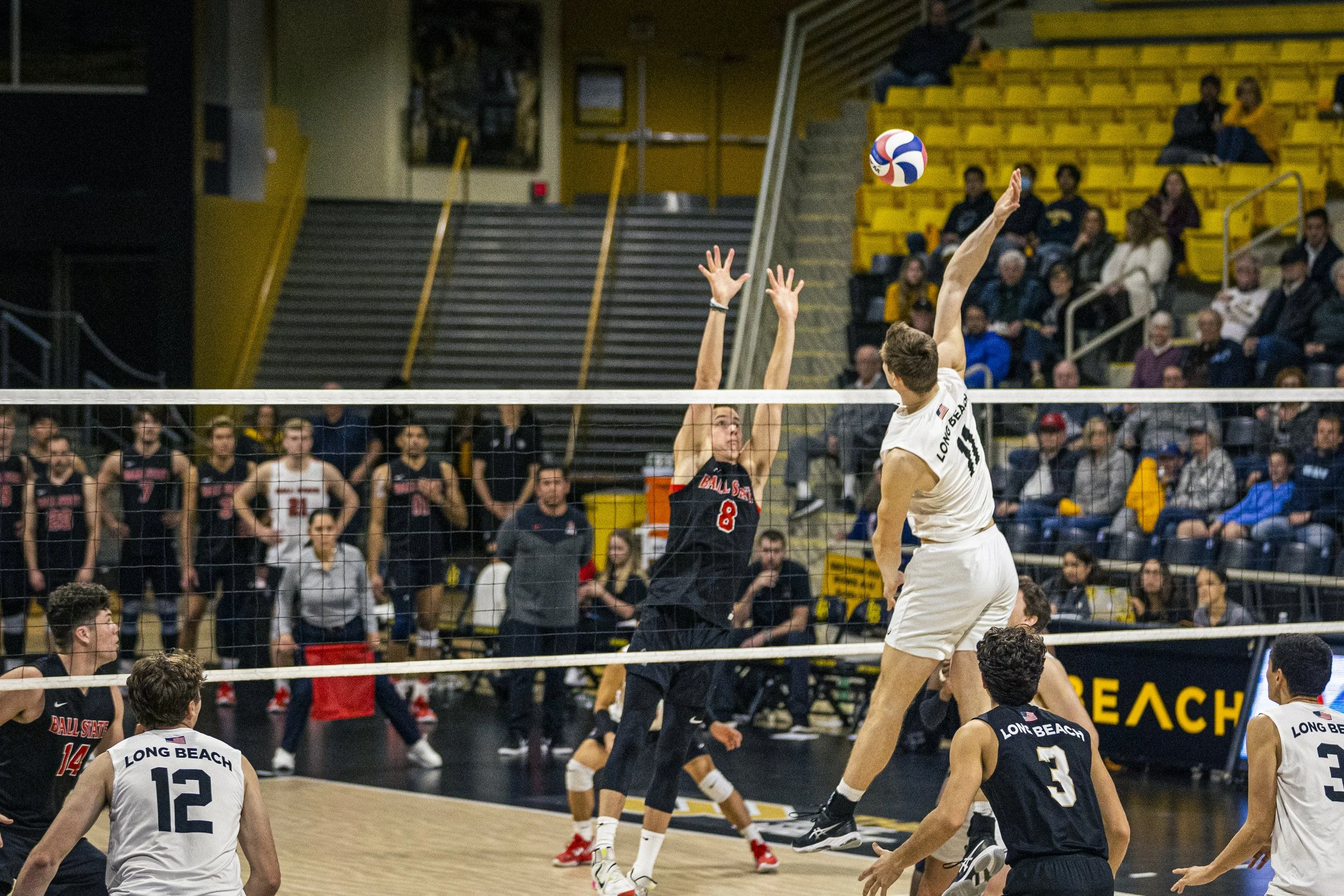 3-3 CSULB Volleyball-174.jpg