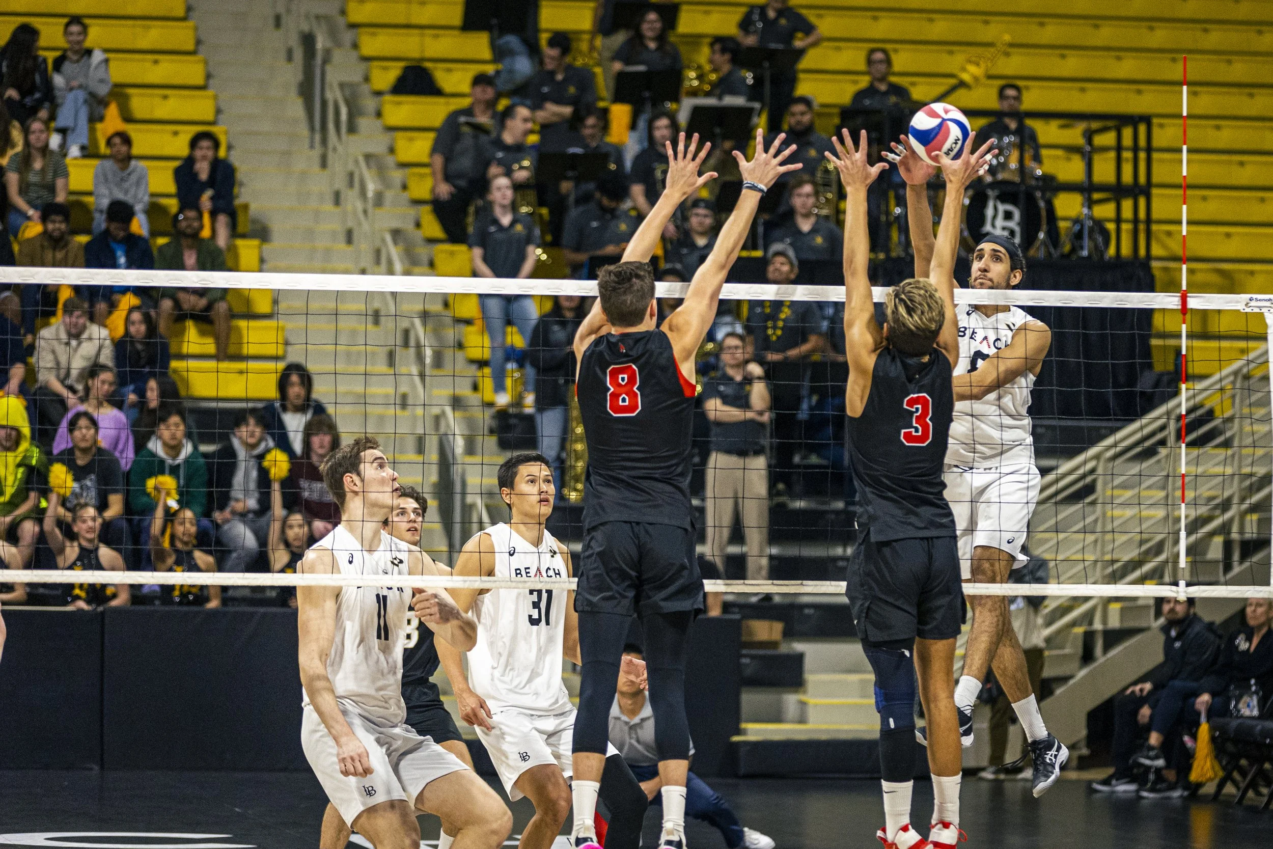 3-3 CSULB Volleyball-96.jpg