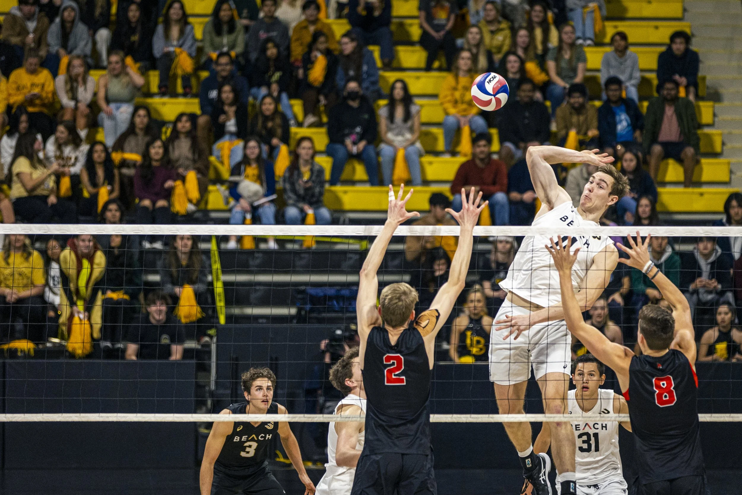 3-3 CSULB Volleyball-98.jpg